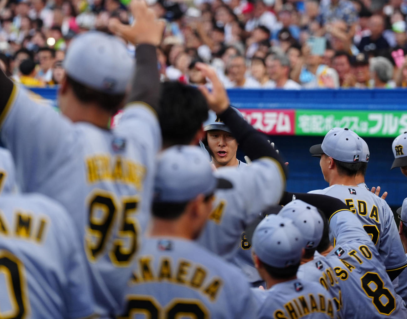 ヤクルト対阪神　2回表阪神1死、中越えソロ本塁打を放ち生還する小幡（撮影・清水貴仁）