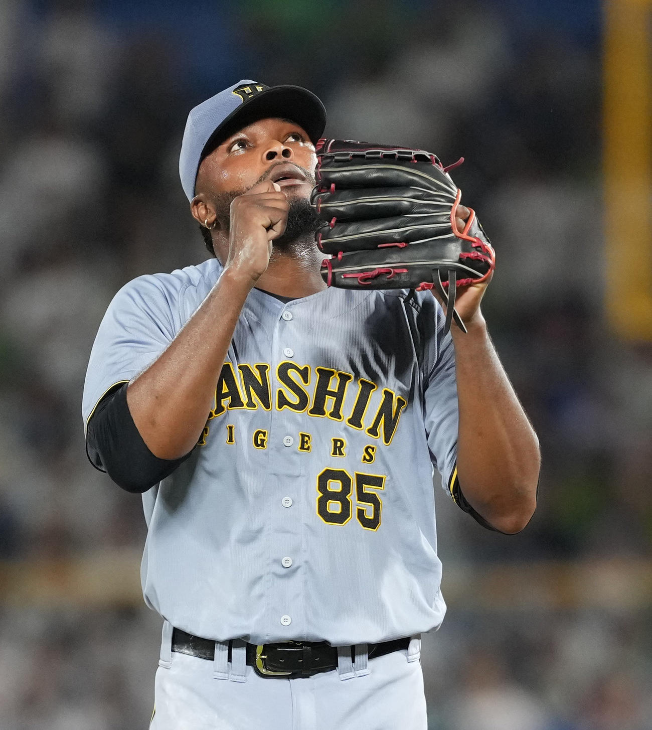 ヤクルト対阪神　8回裏に登板し3者凡退に抑えた阪神ドリス（撮影・清水貴仁）