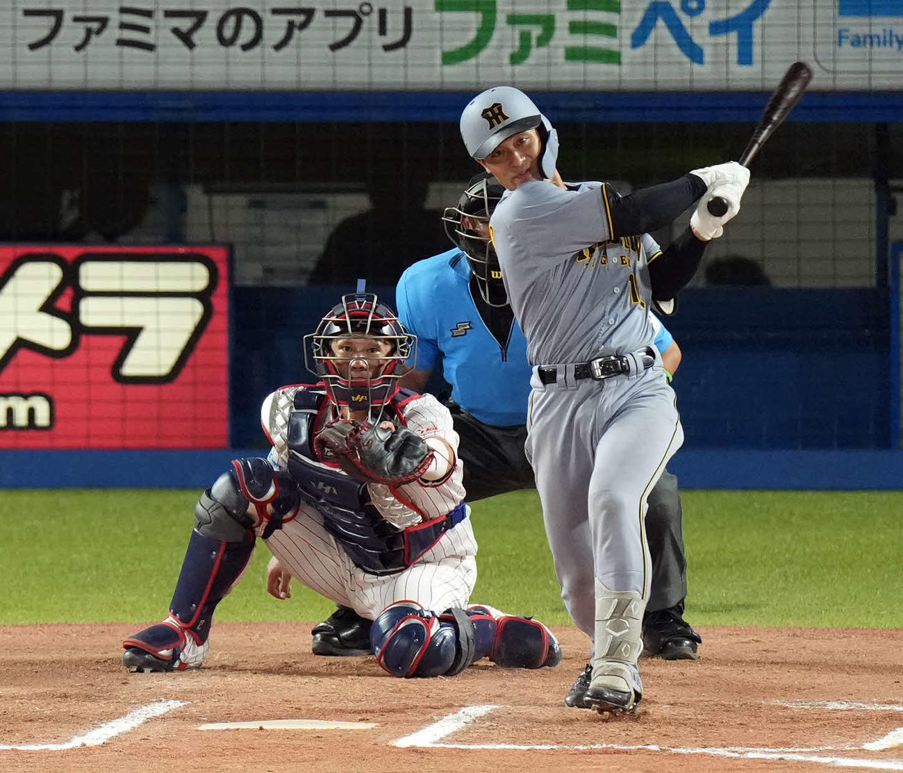 阪神坂本誠志郎（2025年8月1日撮影）