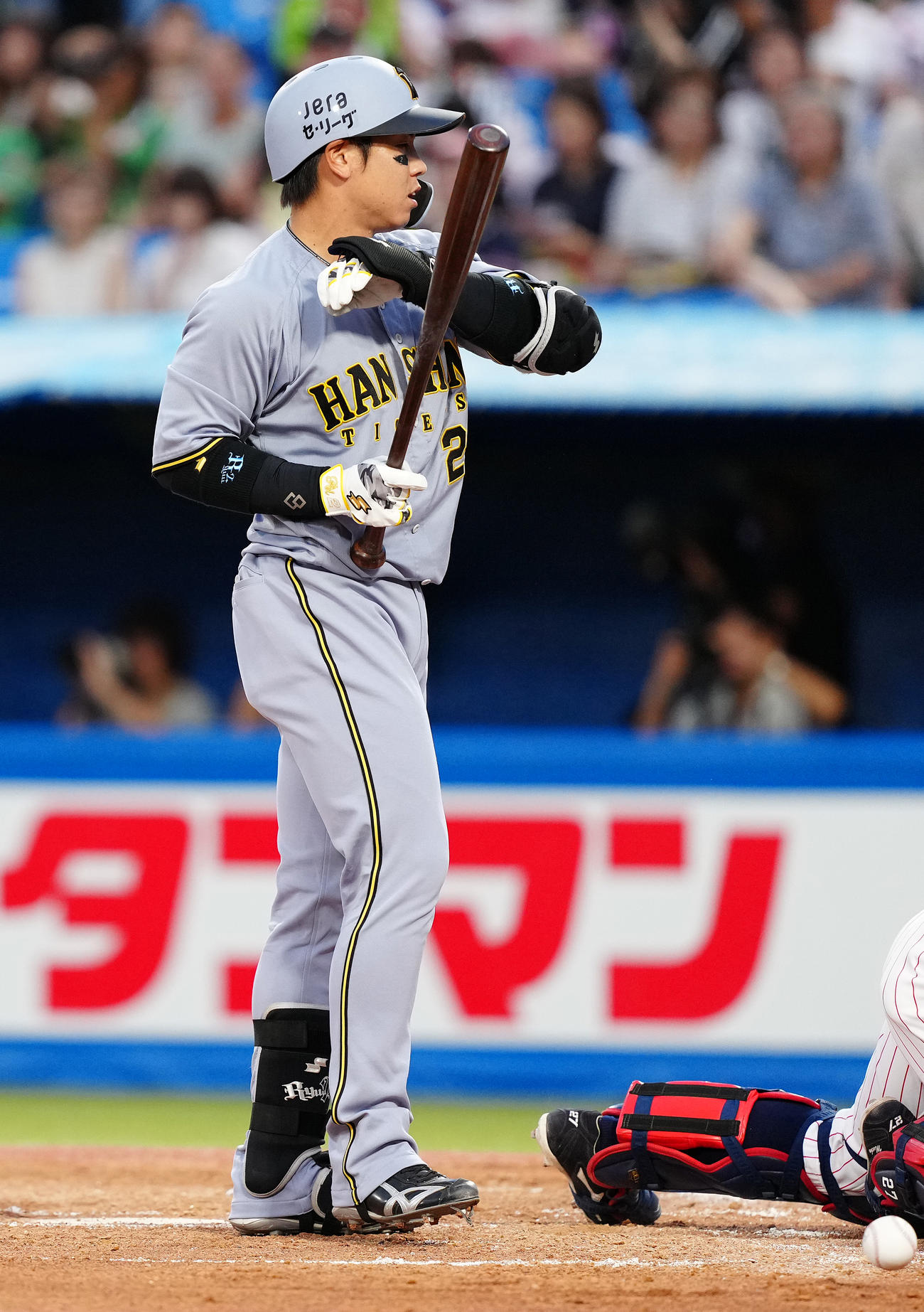 ヤクルト対阪神　2回表阪神2死三塁、死球を受ける梅野（撮影・鈴木みどり）