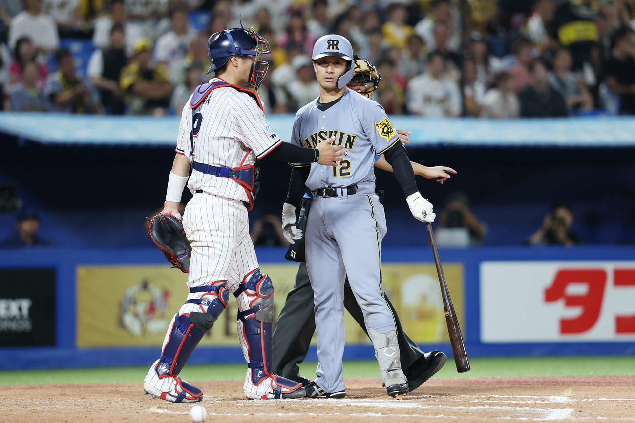 2日ヤクルト戦の8回死球を受けた坂本をなだめる古賀