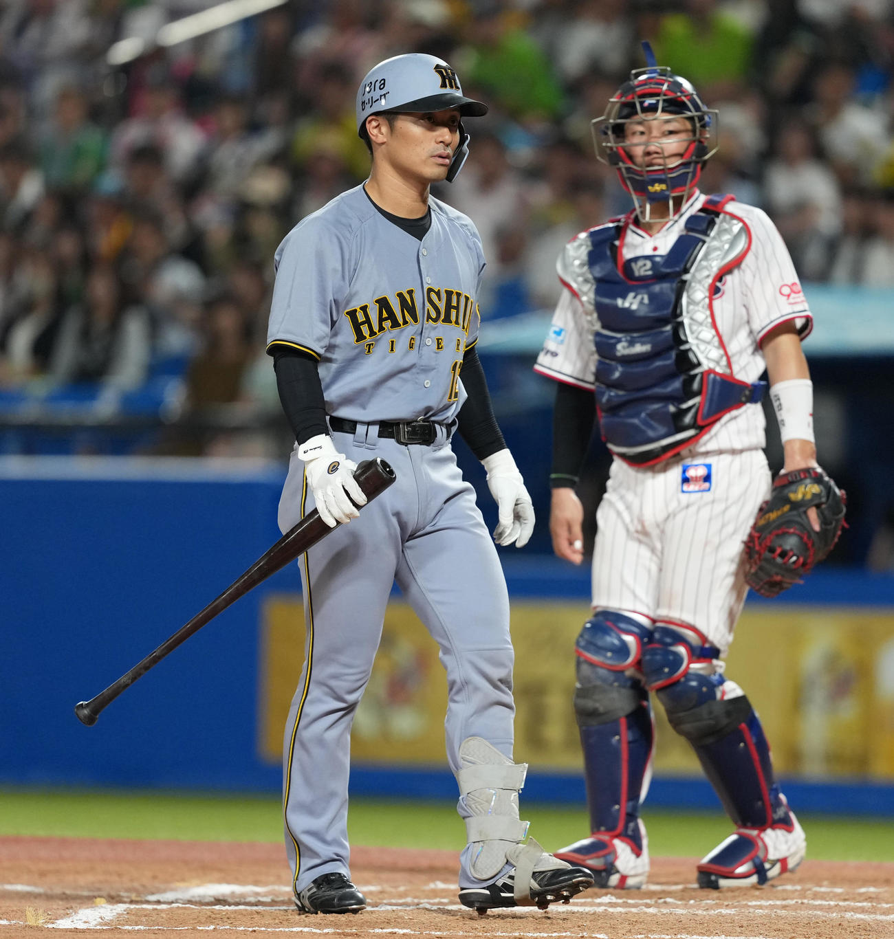 2日ヤクルト戦の8回、死球を受け怒りの表情を見せる坂本