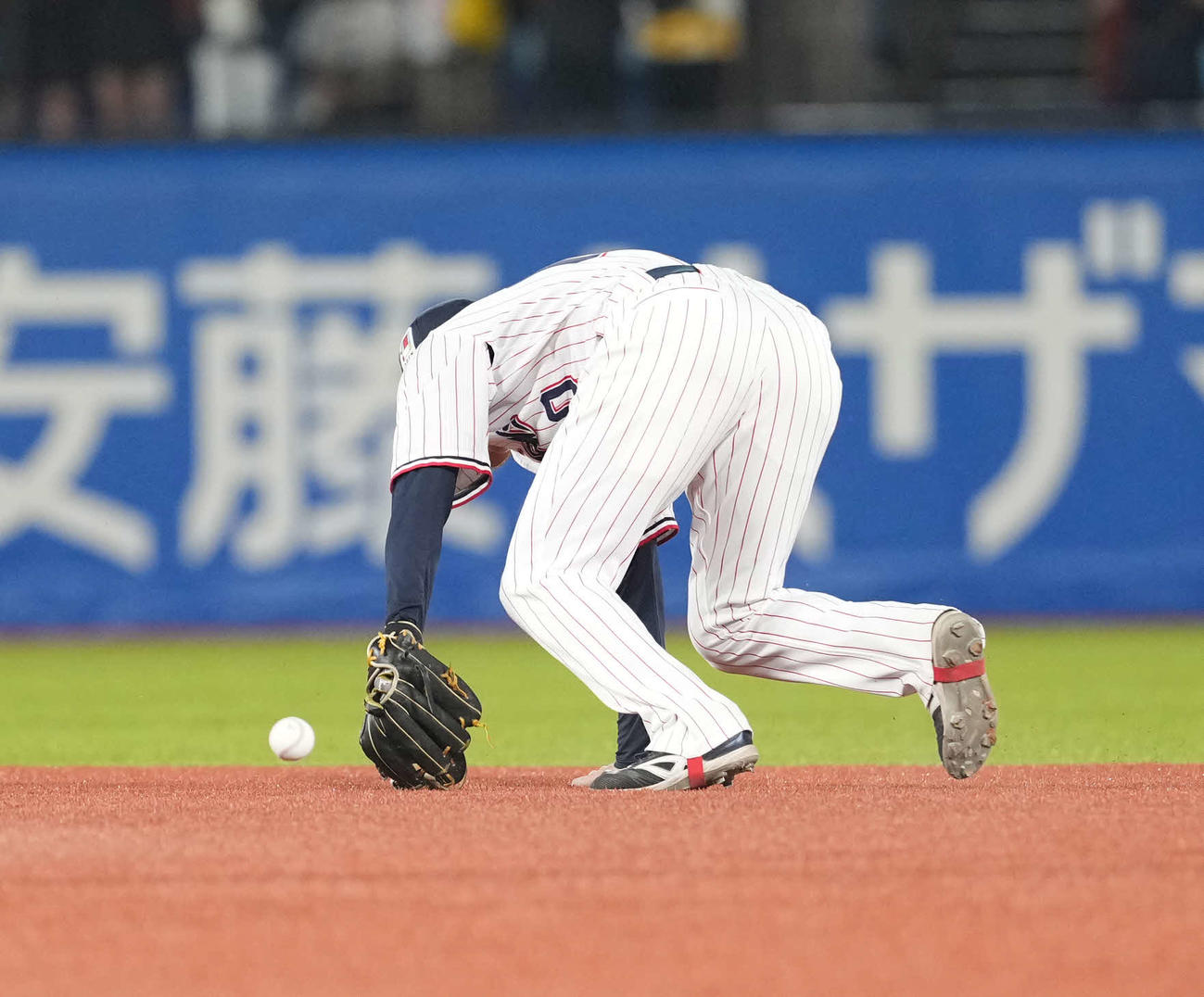 ヤクルト対阪神　5回表阪神1死塁、森下翔太の打球をファンブルする赤羽（撮影・井上学）