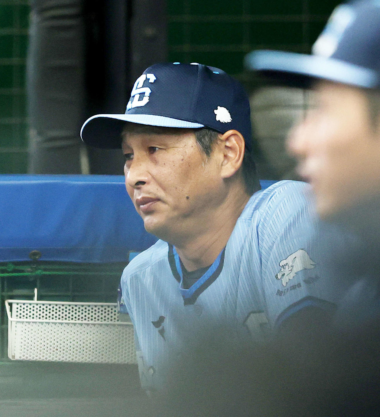 西武対ロッテ　2回裏、戦況を見守る西武西口監督（撮影・河田真司）