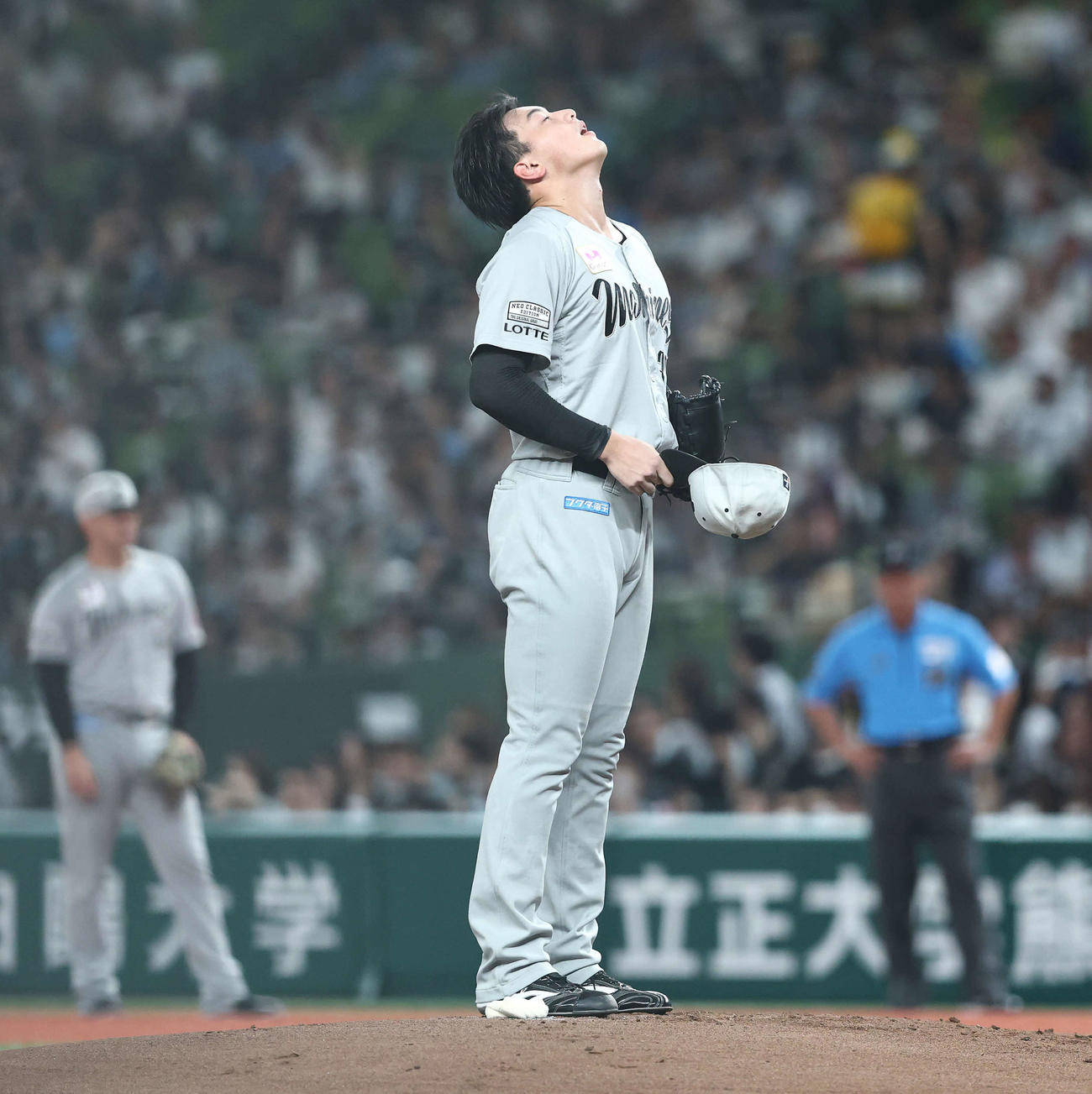 西武対ロッテ　先発登板のロッテ田中晴（撮影・河田真司）