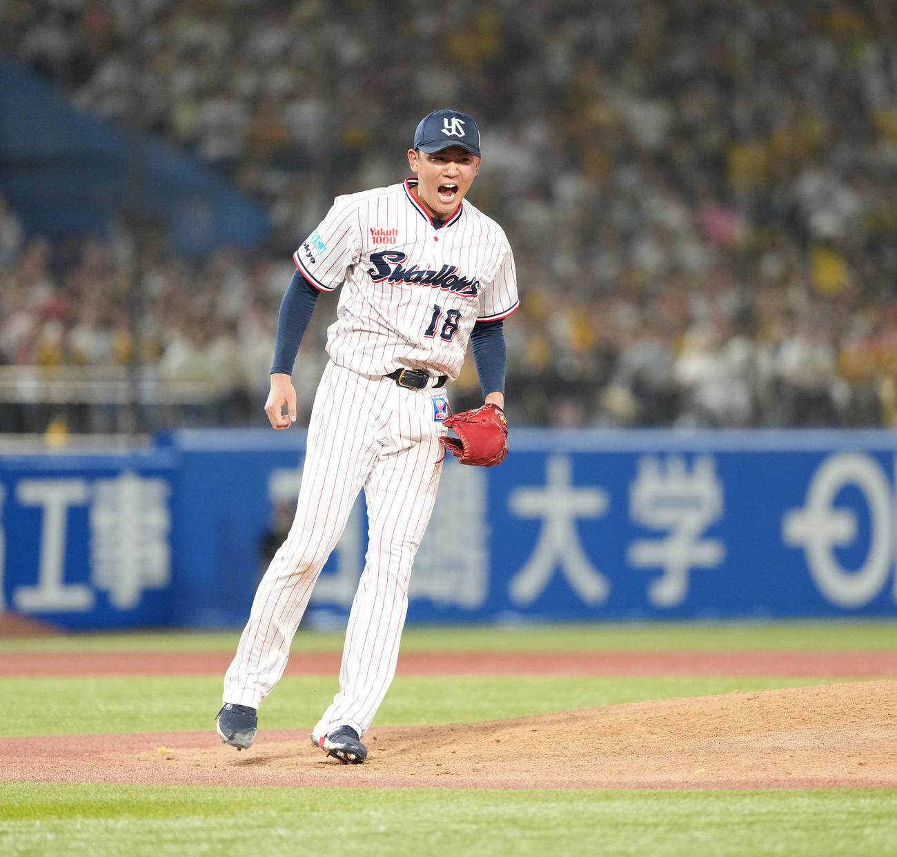 ヤクルト対阪神　7回表阪神1死一塁、中野を三振に打ち取り雄たけびを上げる奥川（撮影・井上学）