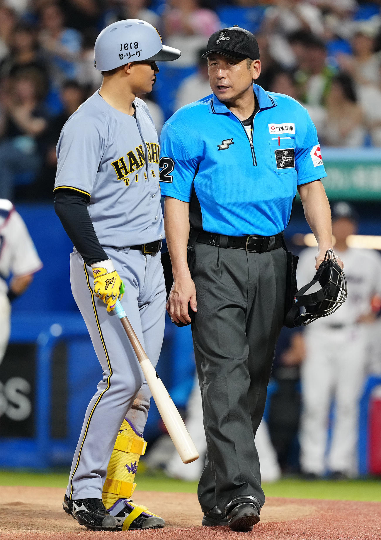 ヤクルト対阪神　7回表阪神2死二塁、見逃し三振に倒れた森下は津川球審と話す（撮影・鈴木みどり）