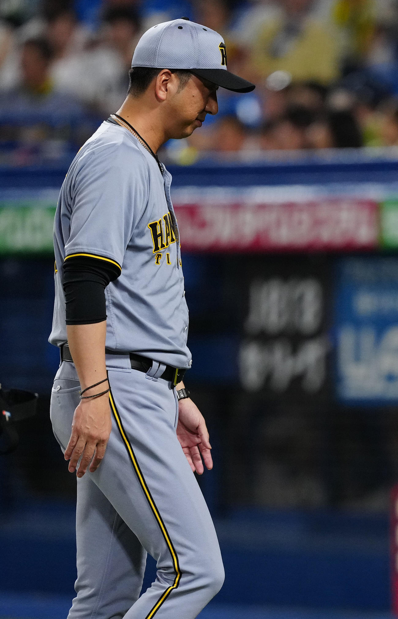 ヤクルト対阪神　7回裏の選手交代を告げ、ベンチへ戻る阪神藤川監督（撮影・鈴木みどり）