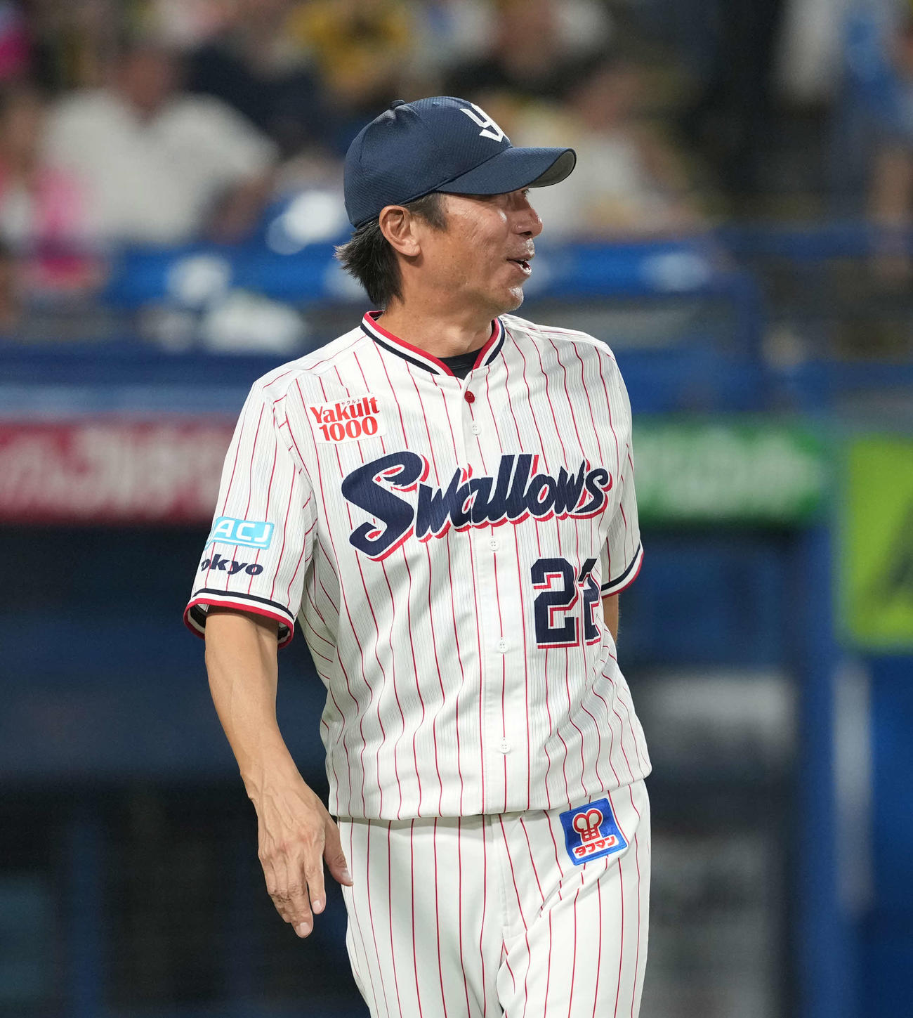 ヤクルト対阪神　選手交代を告げる高津監督（撮影・井上学）