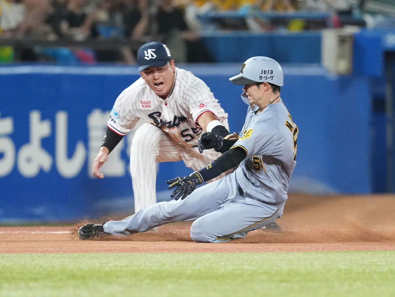 ヤクルト対阪神　5回表阪神1死塁、走塁死する中野。三塁手村上（撮影・井上学）