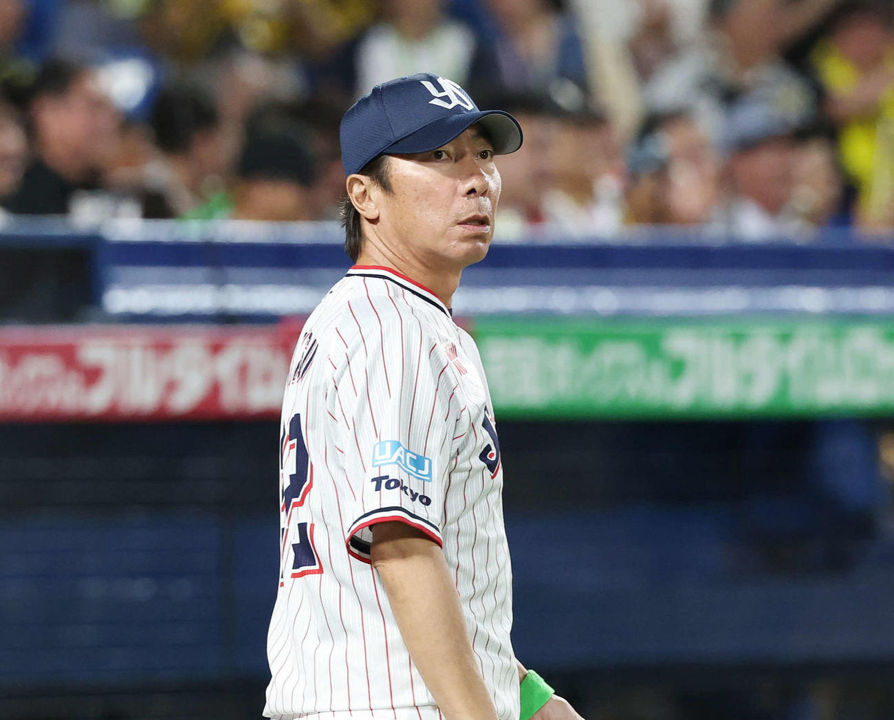 ヤクルト高津監督（2025年撮影）