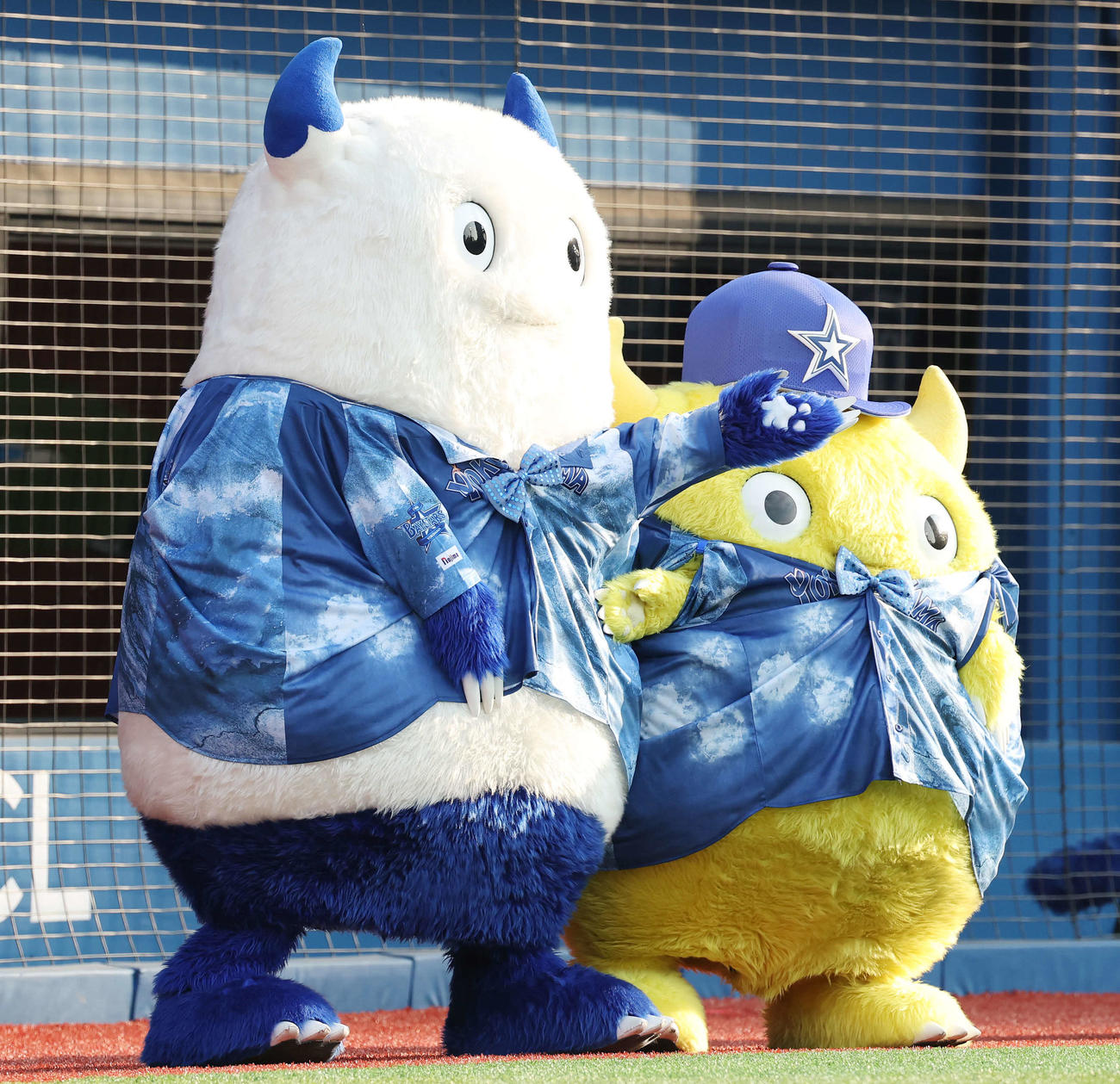 DeNA対広島　試合前、ツッコミ合うDeNAバート（左）とチャピー（撮影・宮地輝）