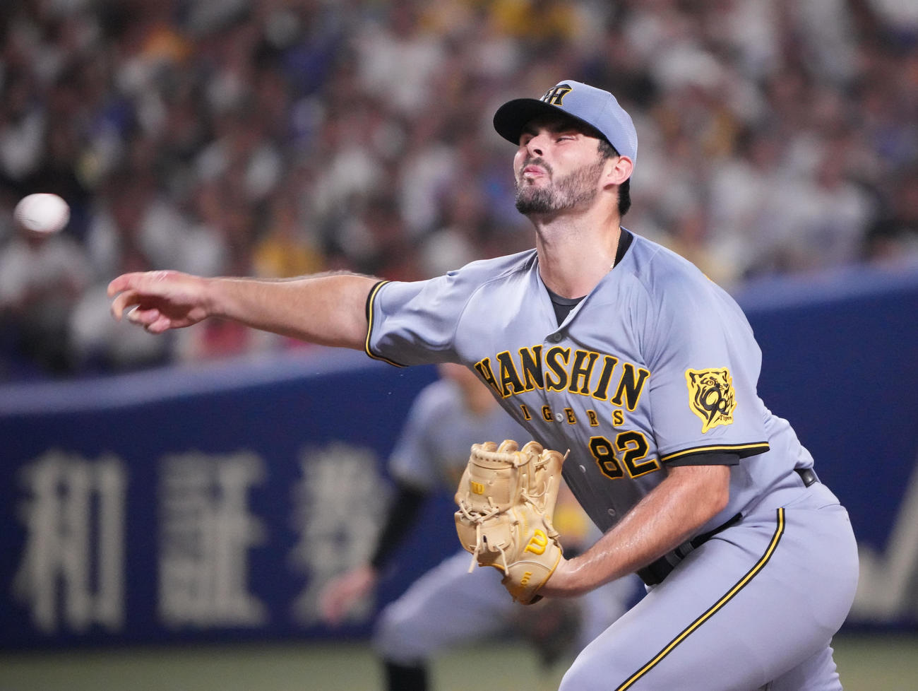中日対阪神　7回裏、阪神2番手で登板するハートウィグ（撮影・森本幸一）