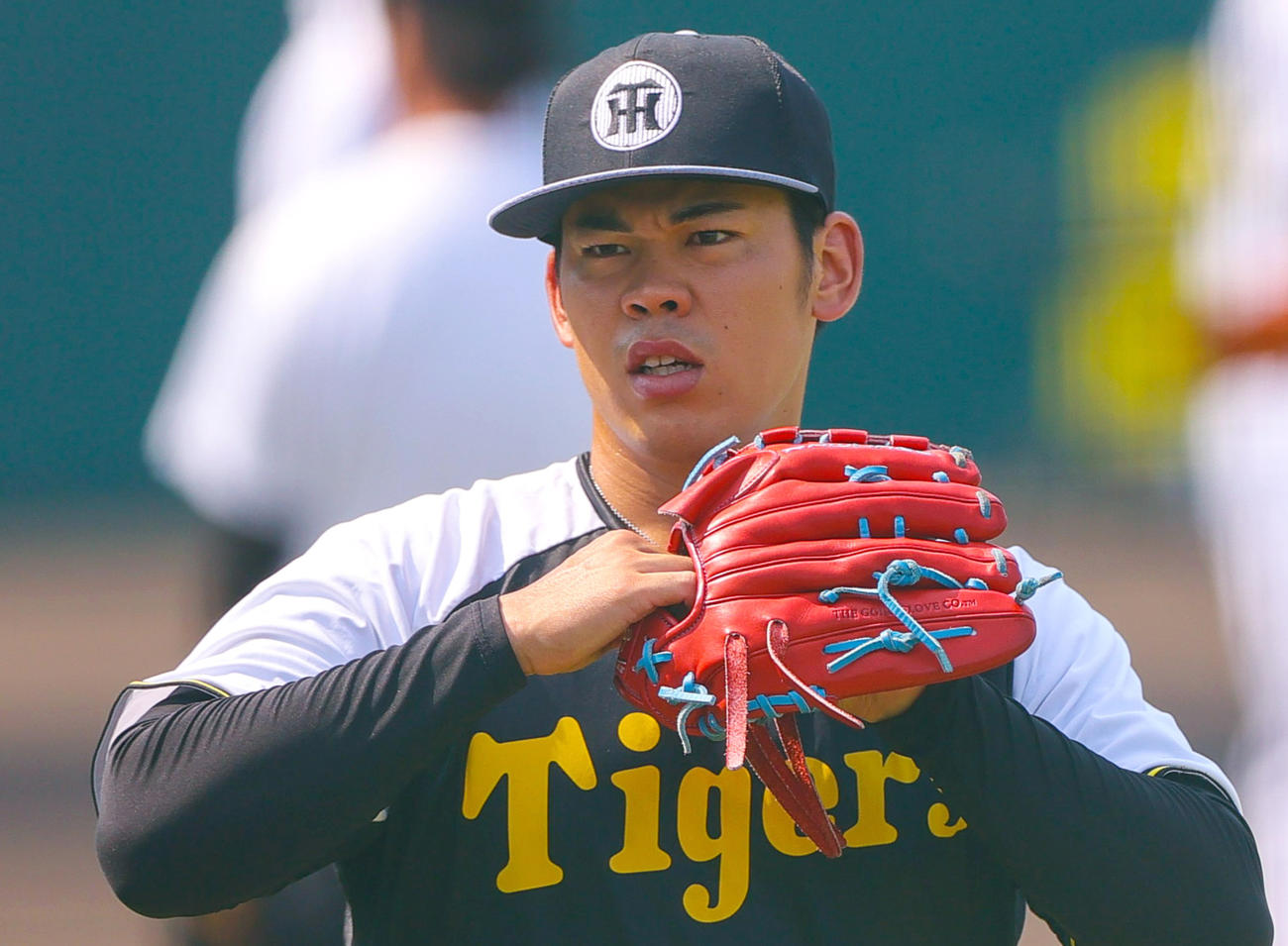 阪神鈴木勇斗（2025年6月27日撮影）