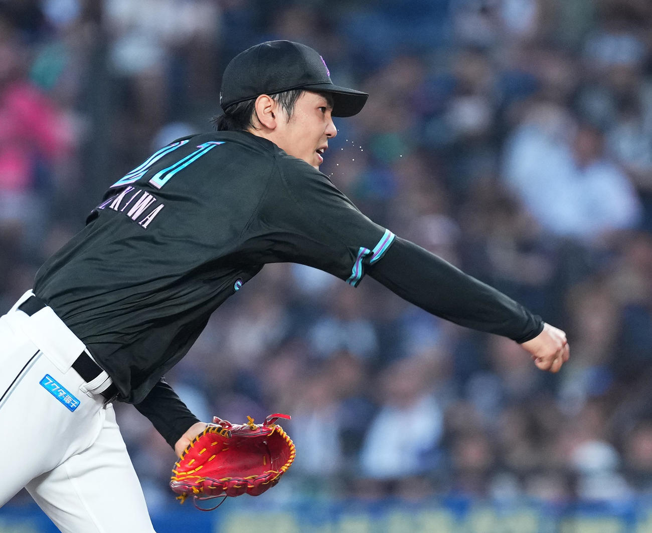 ロッテ対ソフトバンク　ロッテ先発の石川柊（撮影・菅敏）