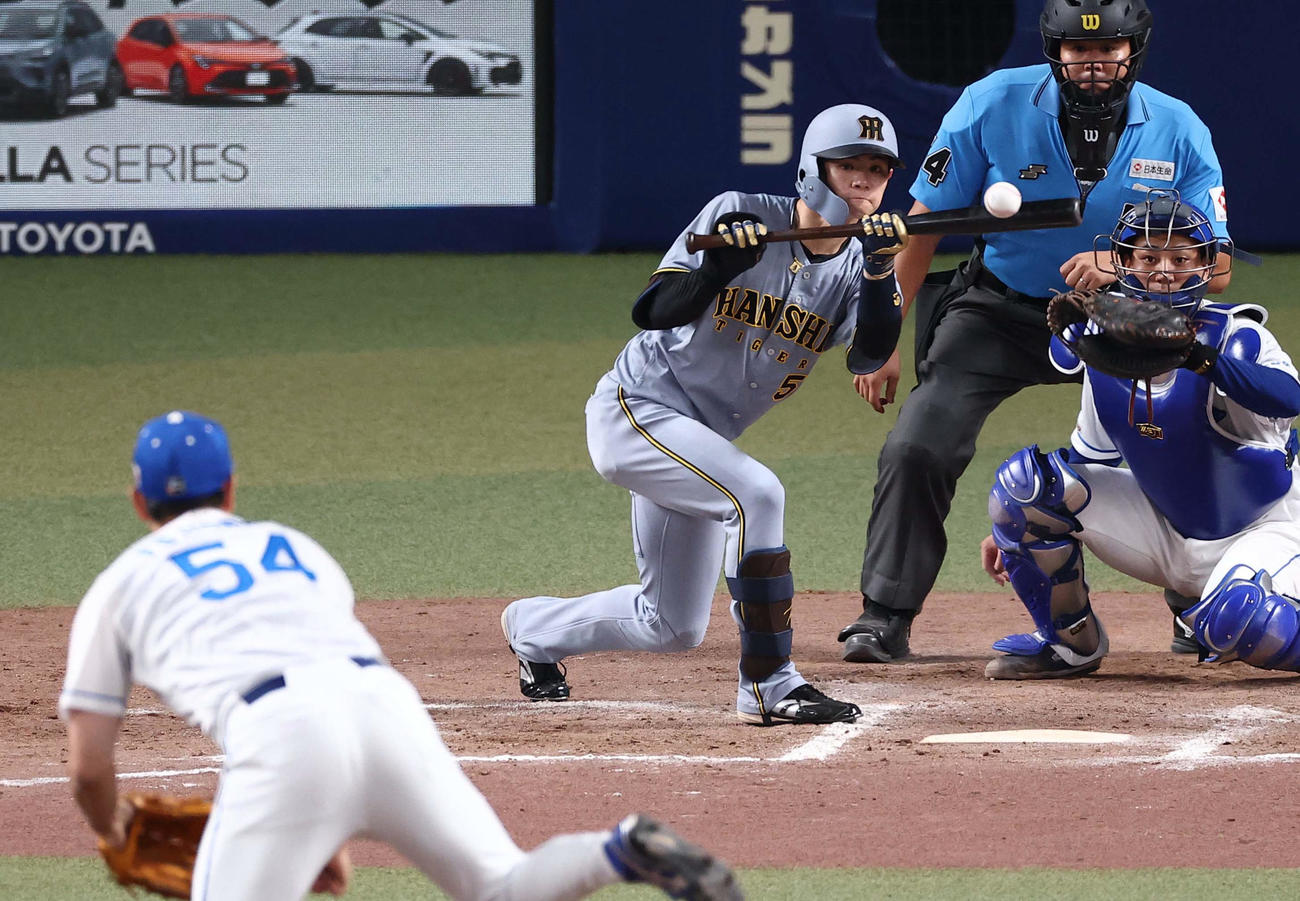 中日対阪神　8回表阪神無死二塁、中野は送りバントを決める（撮影・上田博志）