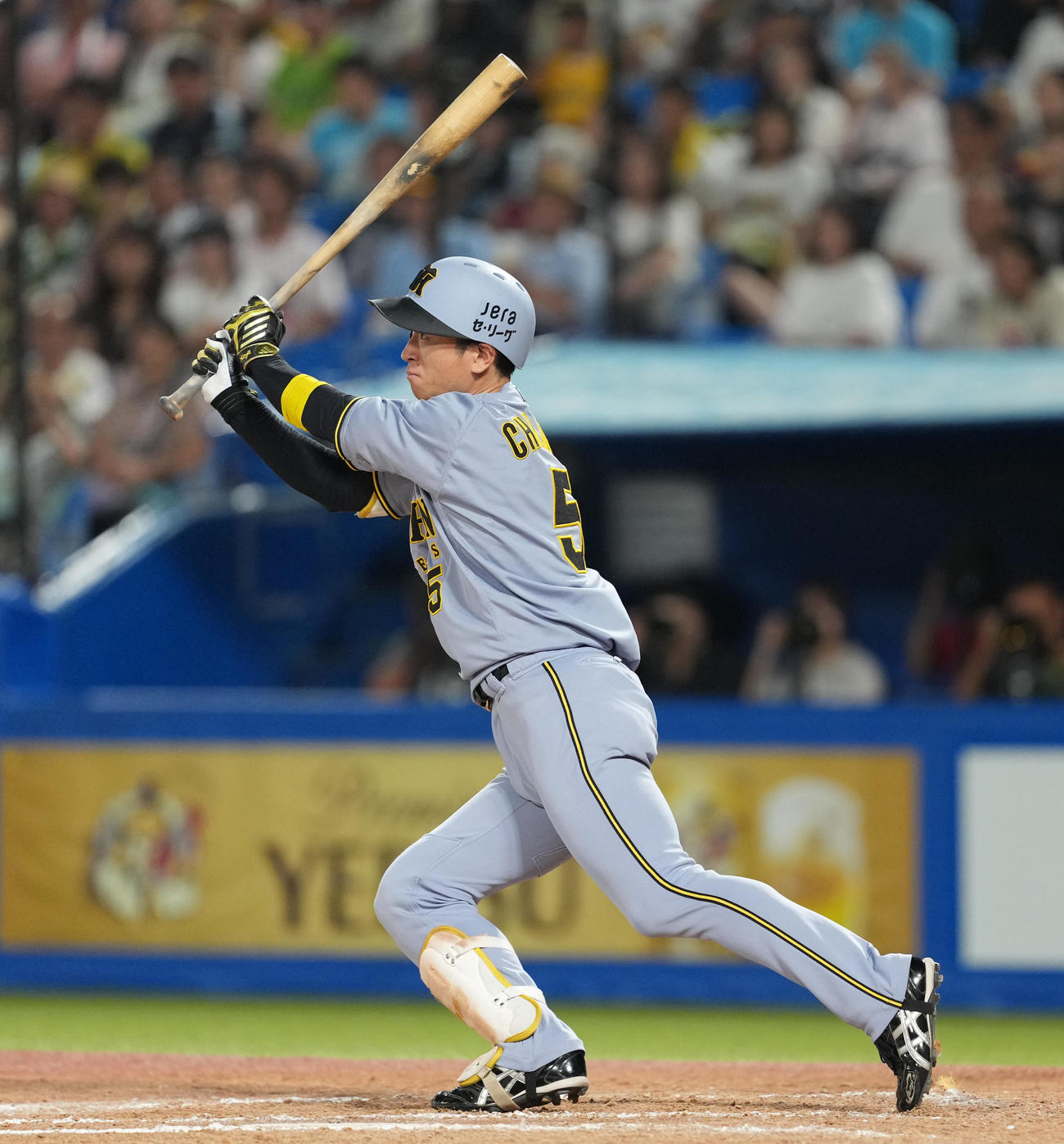 阪神近本光司（2025年8月2日撮影）