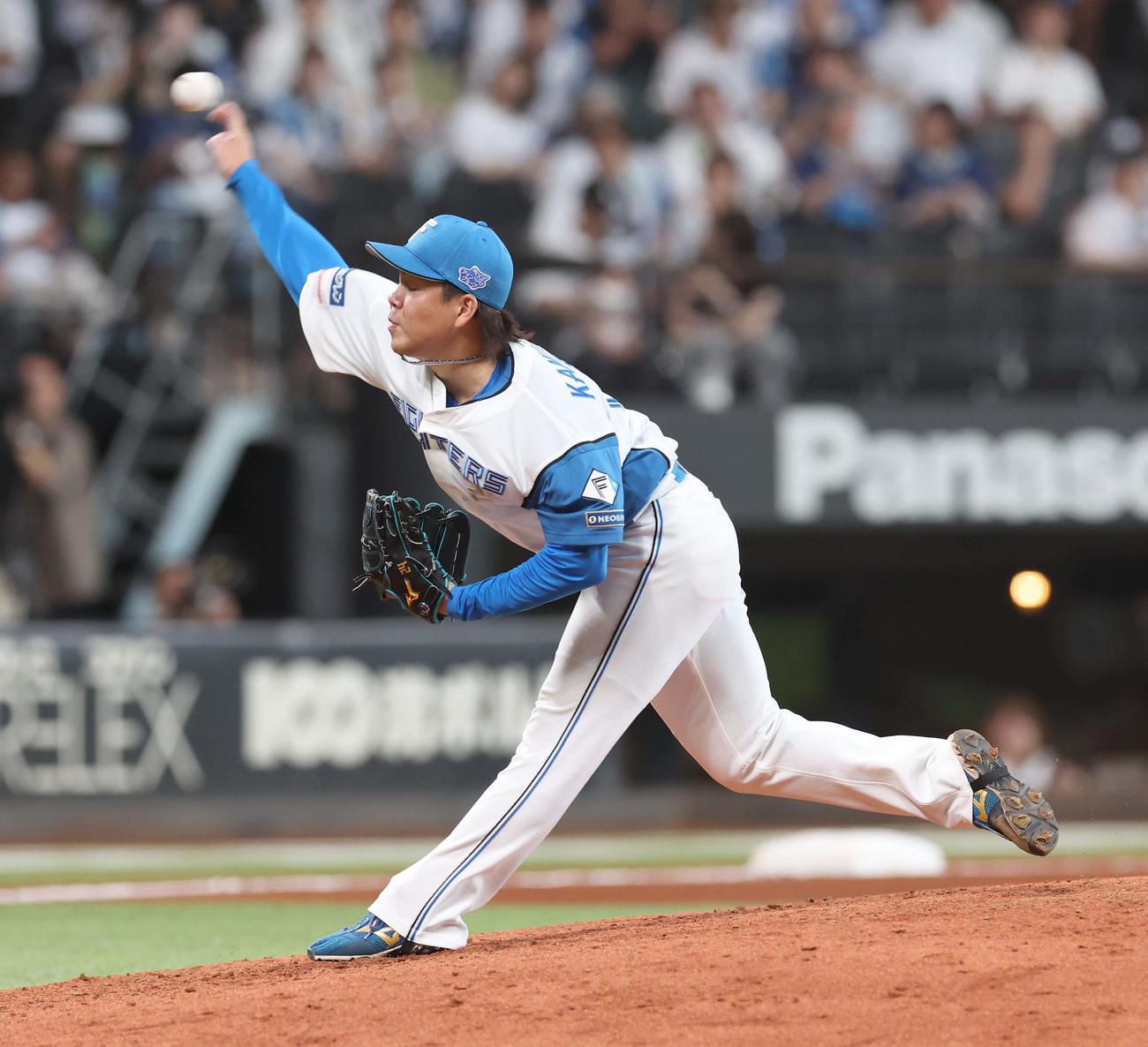 日本ハム対西武　8回に登板の金村（撮影・黒川智章）