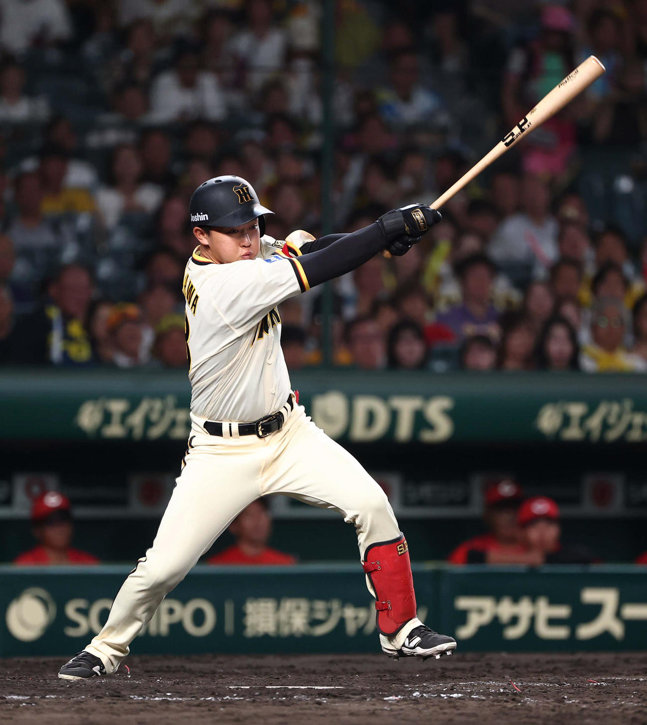 阪神中川勇斗（2025年7月31日撮影）