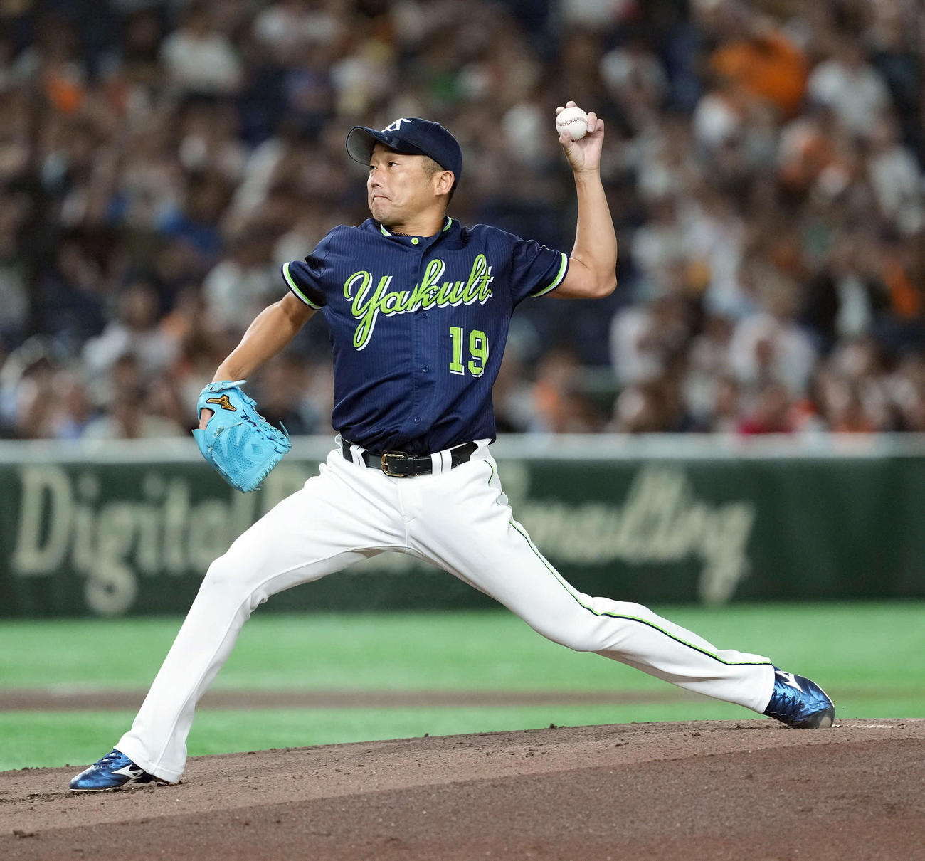 巨人対ヤクルト　ヤクルトの先発石川（撮影・たえ見朱実）