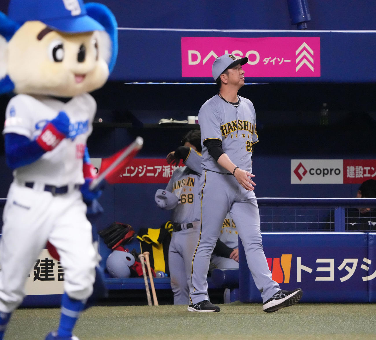 中日対阪神　7回表終了、選手交代を告げる藤川監督（撮影・森本幸一）