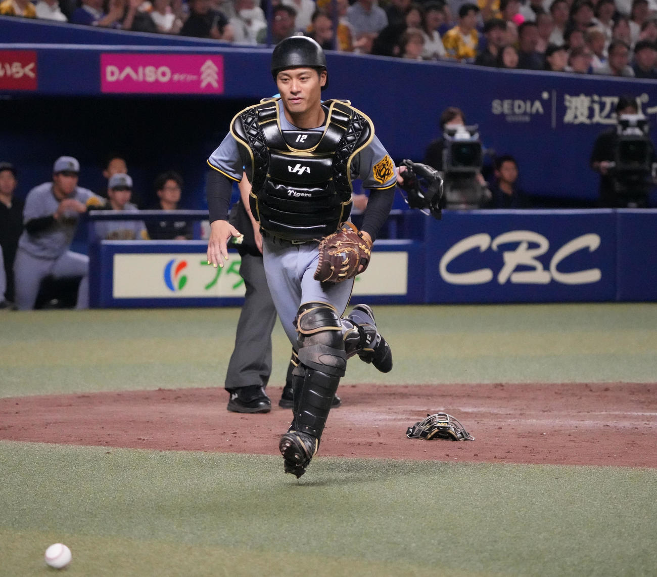 中日対阪神　5回裏中日2死満塁、捕逸する坂本（撮影・森本幸一）