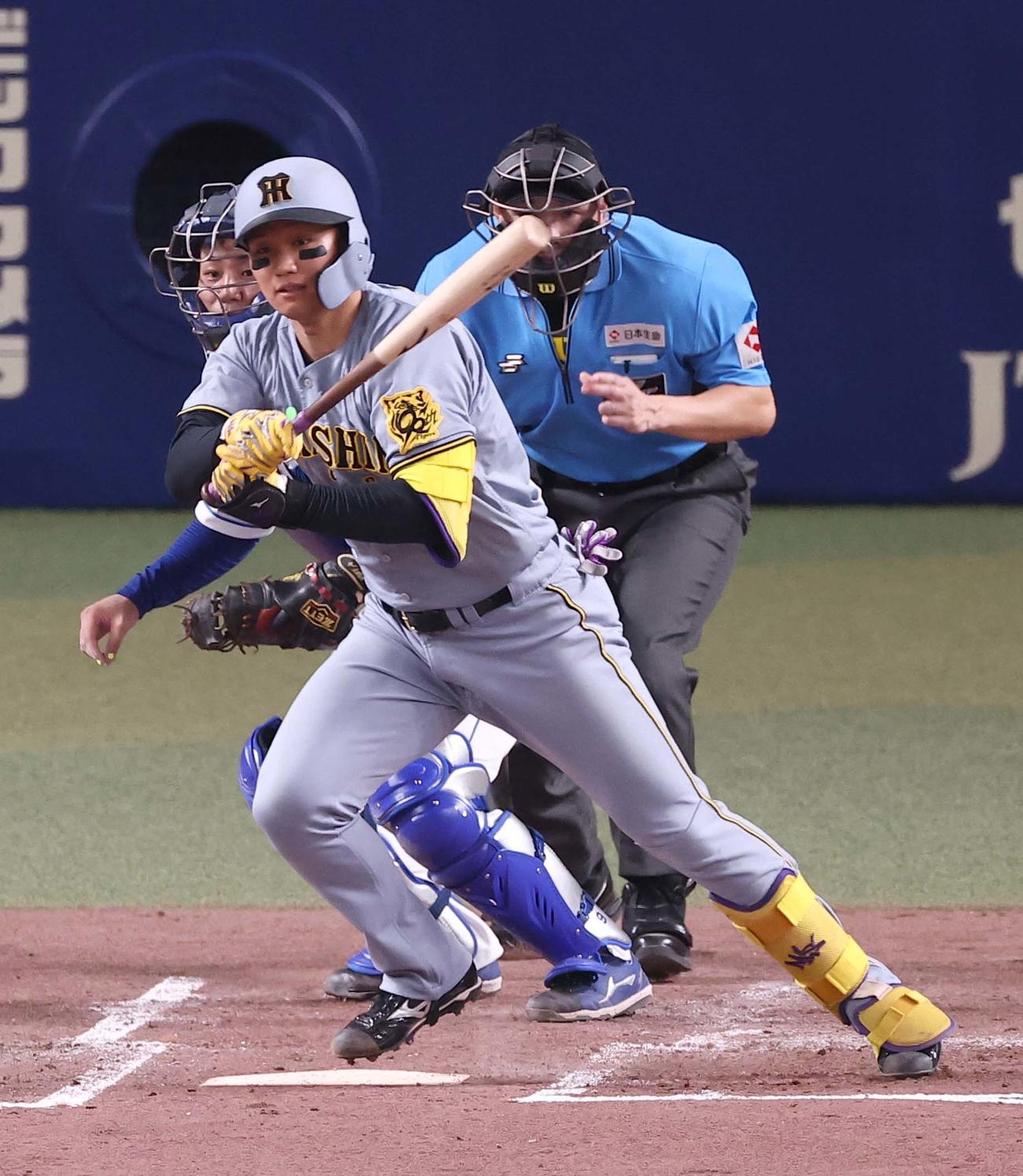 阪神森下翔太（2025年8月5日撮影）