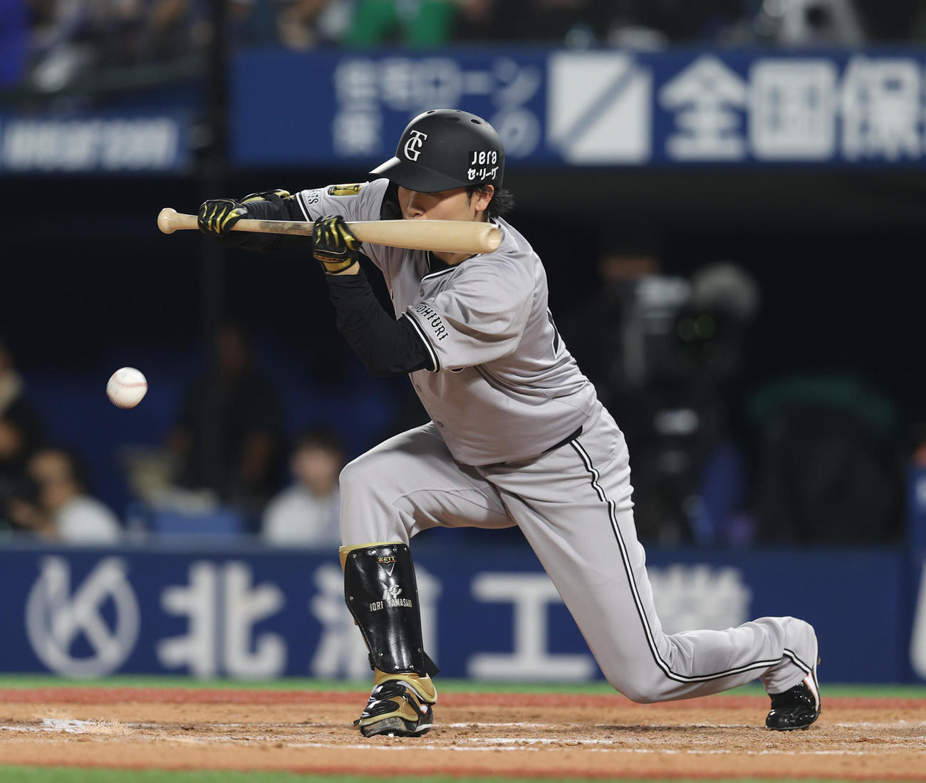 DeNA対巨人　4回表巨人1死二、三塁、バントを決める山﨑（撮影・水谷安孝）