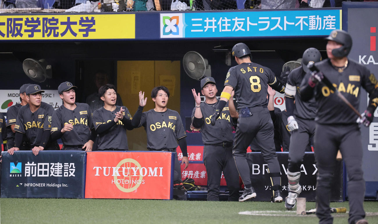 阪神対ヤクルト　4回裏阪神2死、藤川監督（左から6人目）は右越え先制本塁打を放った佐藤輝を迎える（撮影・宮崎幸一)