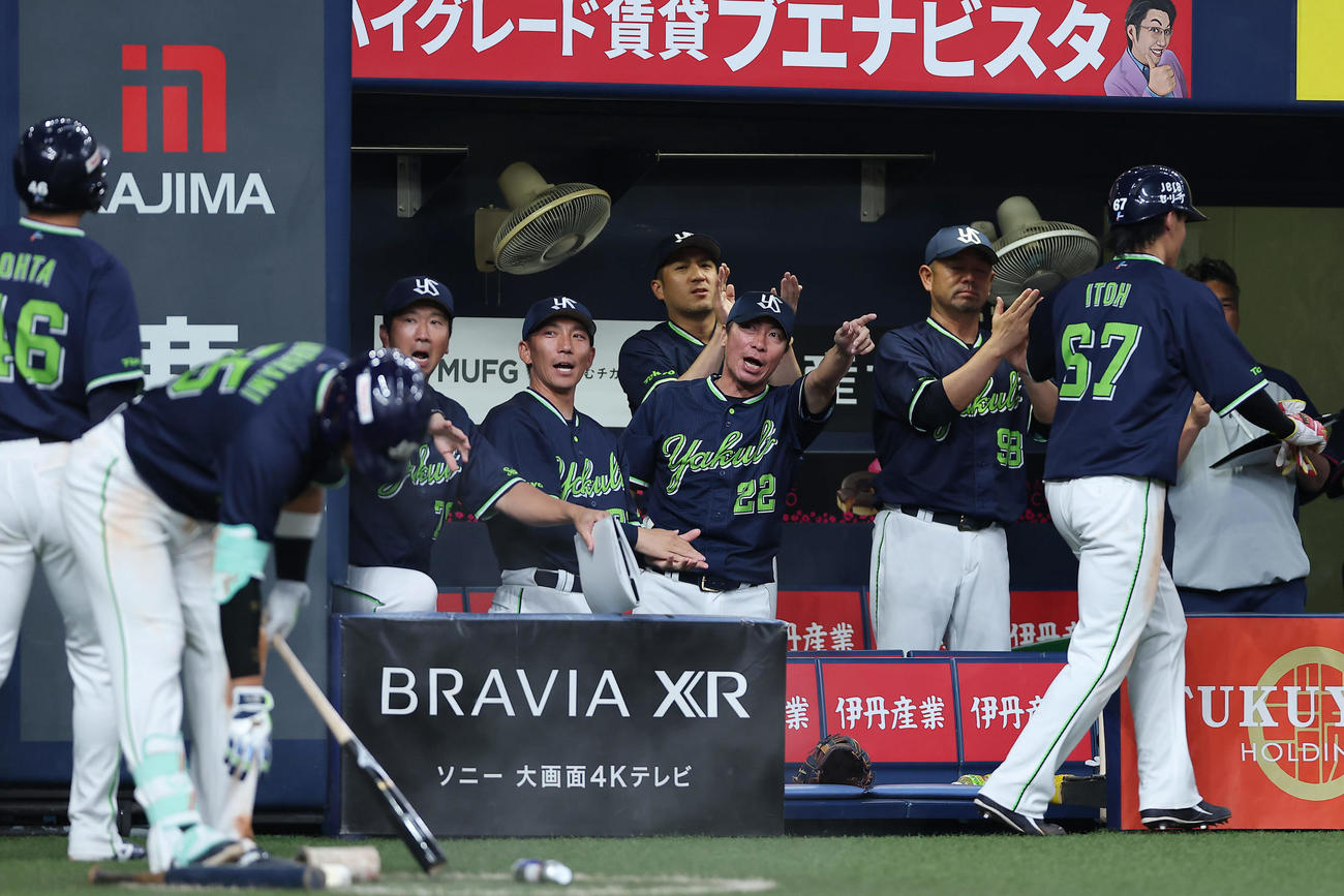 阪神対ヤクルト　12回表ヤクルト2死満塁、代打増田の2点適時打で勝ち越し、喜ぶ高津監督（中央）ら（撮影・前田充）