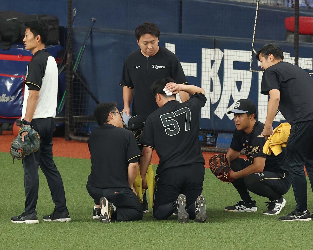 阪神対ヤクルト　負傷した長坂（中央）は患部を押さえる（撮影・上田博志）