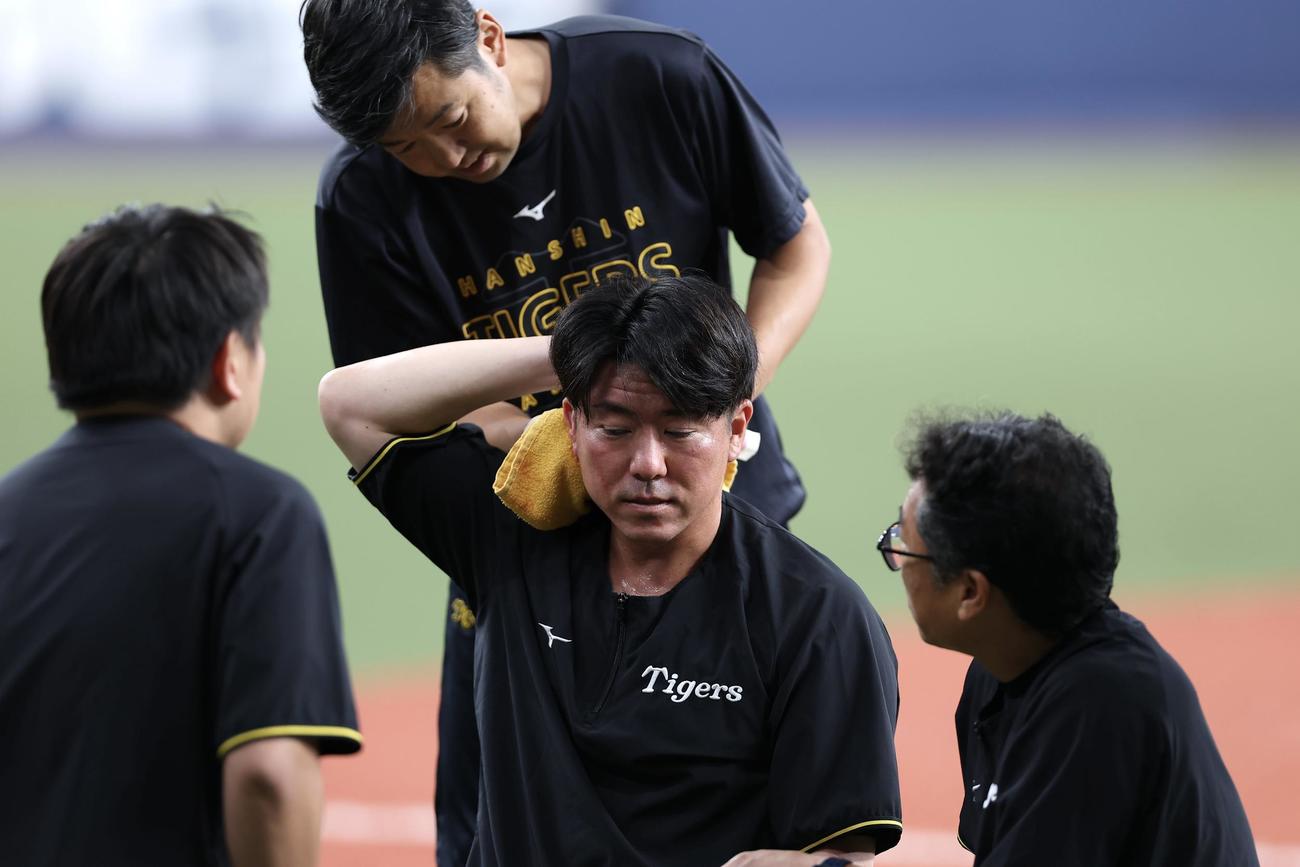 阪神対ヤクルト　試合前練習でボールが当たり、手当てを受ける阪神長坂（中央）（撮影・前田充）