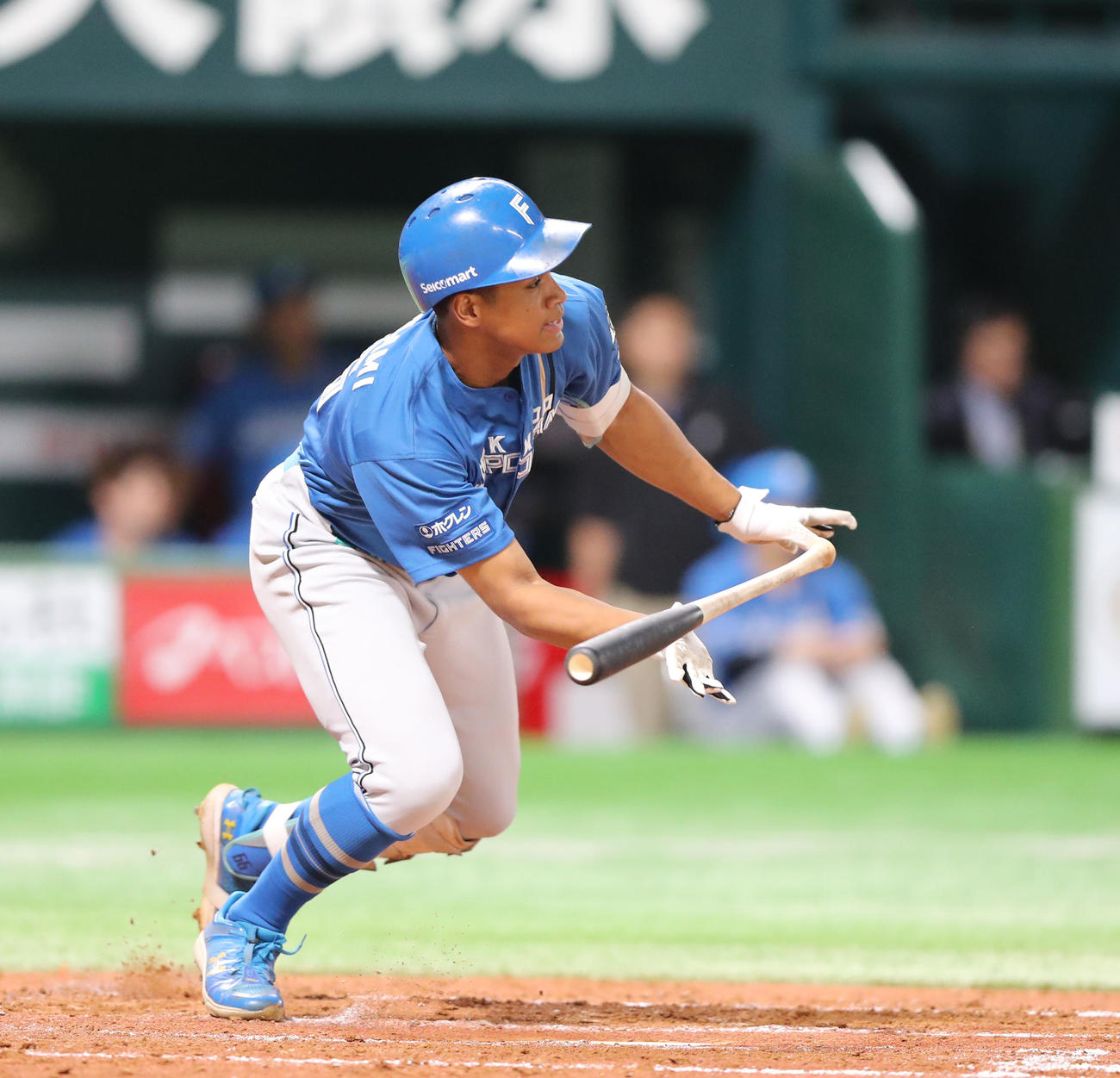 ソフトバンク対日本ハム　5回表日本ハム無死、万波は中前安打を放つ（撮影・梅根麻紀）