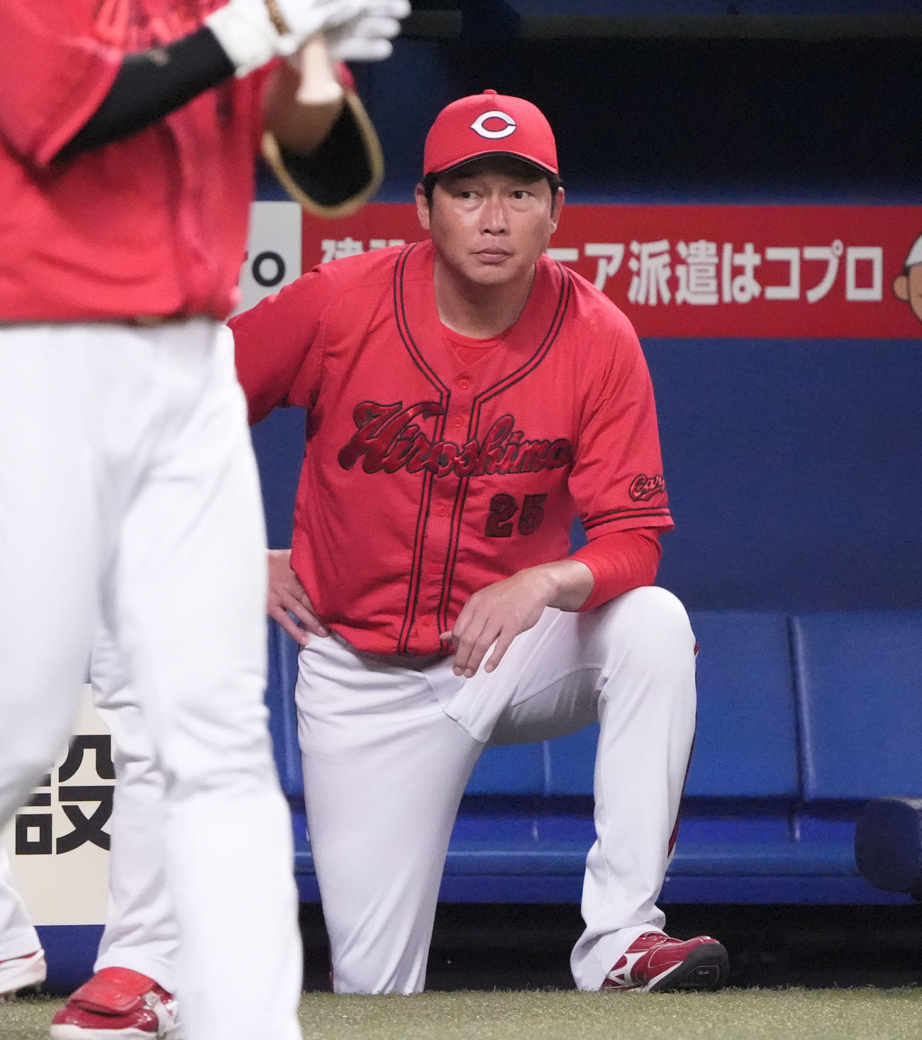 中日対広島　5回表、ベンチから試合を見つめる新井監督（撮影・森本幸一）
