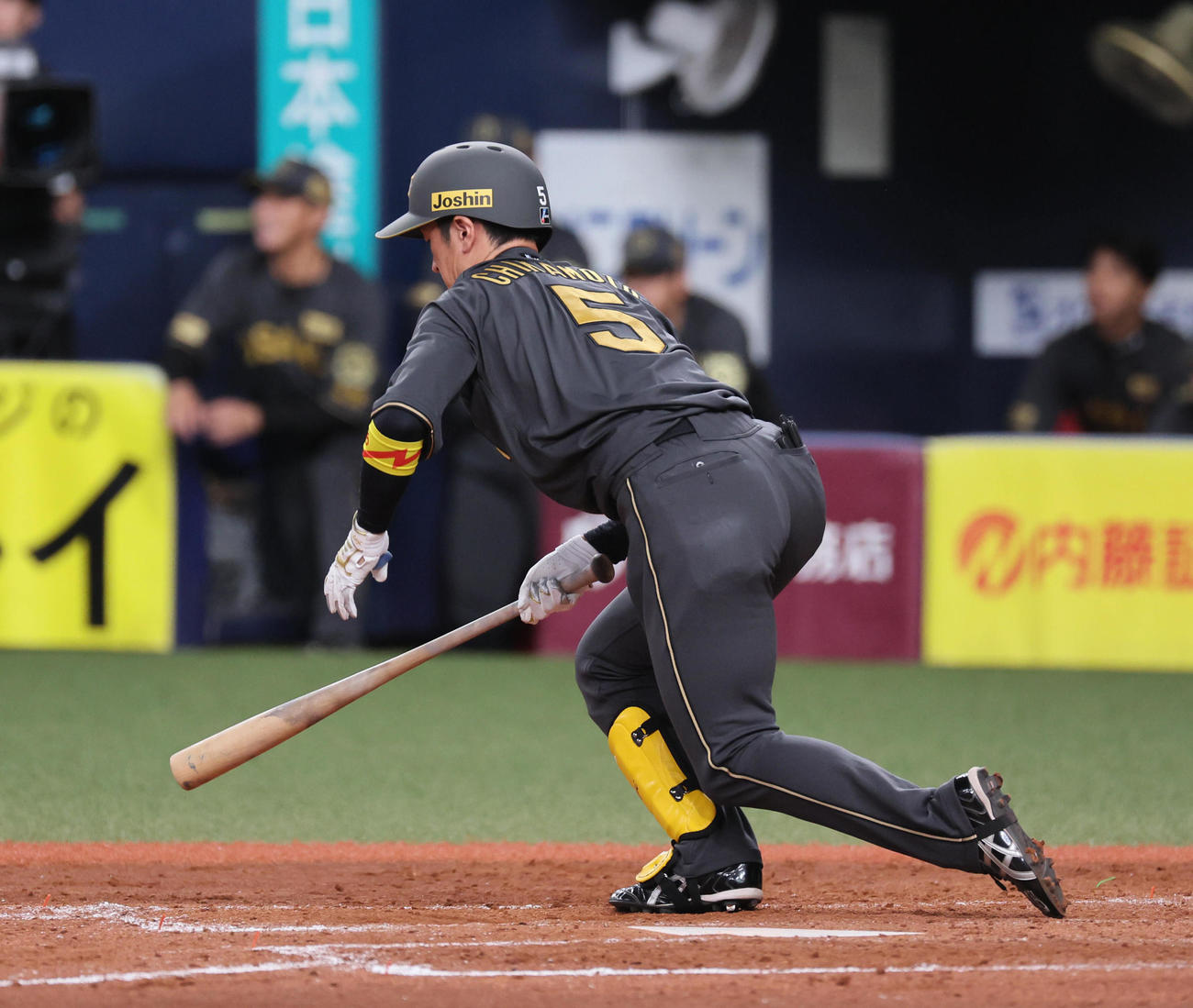 阪神対ヤクルト　5回裏阪神2死満塁、近本はファウルを打った際に痛がるそぶりを見せ、6回表の守備から交代となる（撮影・宮崎幸一)