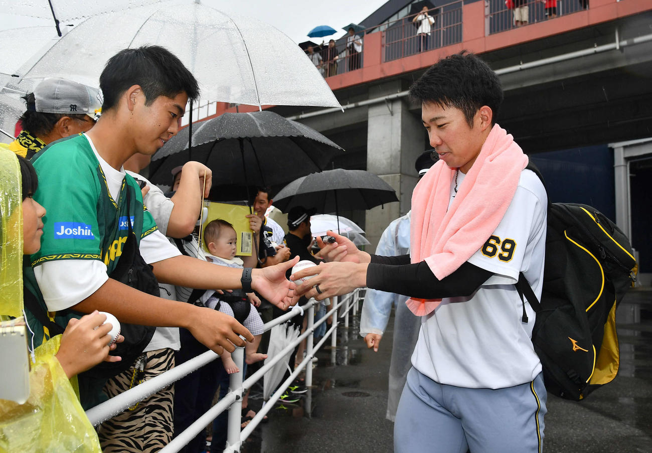 練習を終え、ファンにサインをしながら引き揚げる阪神石井（撮影・岩下翔太）