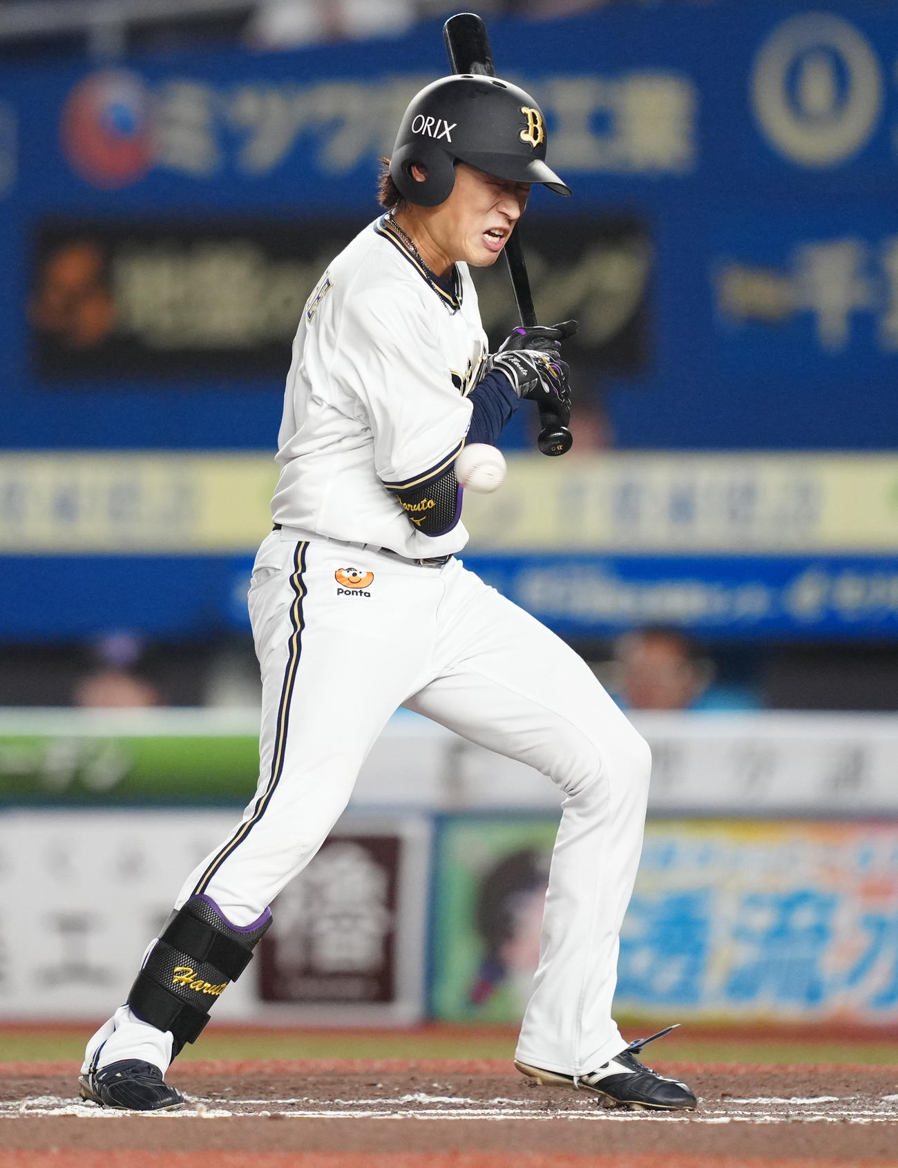 ロッテ対オリックス　10回表オリックス無死、死球を受ける渡部（撮影・鈴木みどり）