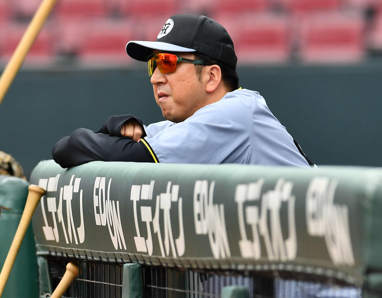 広島対阪神　試合前、練習を見つめる藤川監督（撮影・岩下翔太）