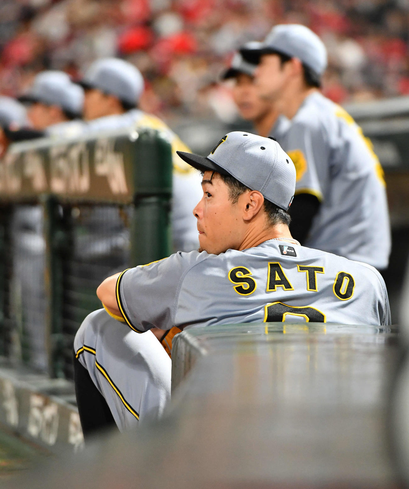 広島対阪神　5回裏、ベンチから試合を見つめる佐藤輝（撮影・岩下翔太）