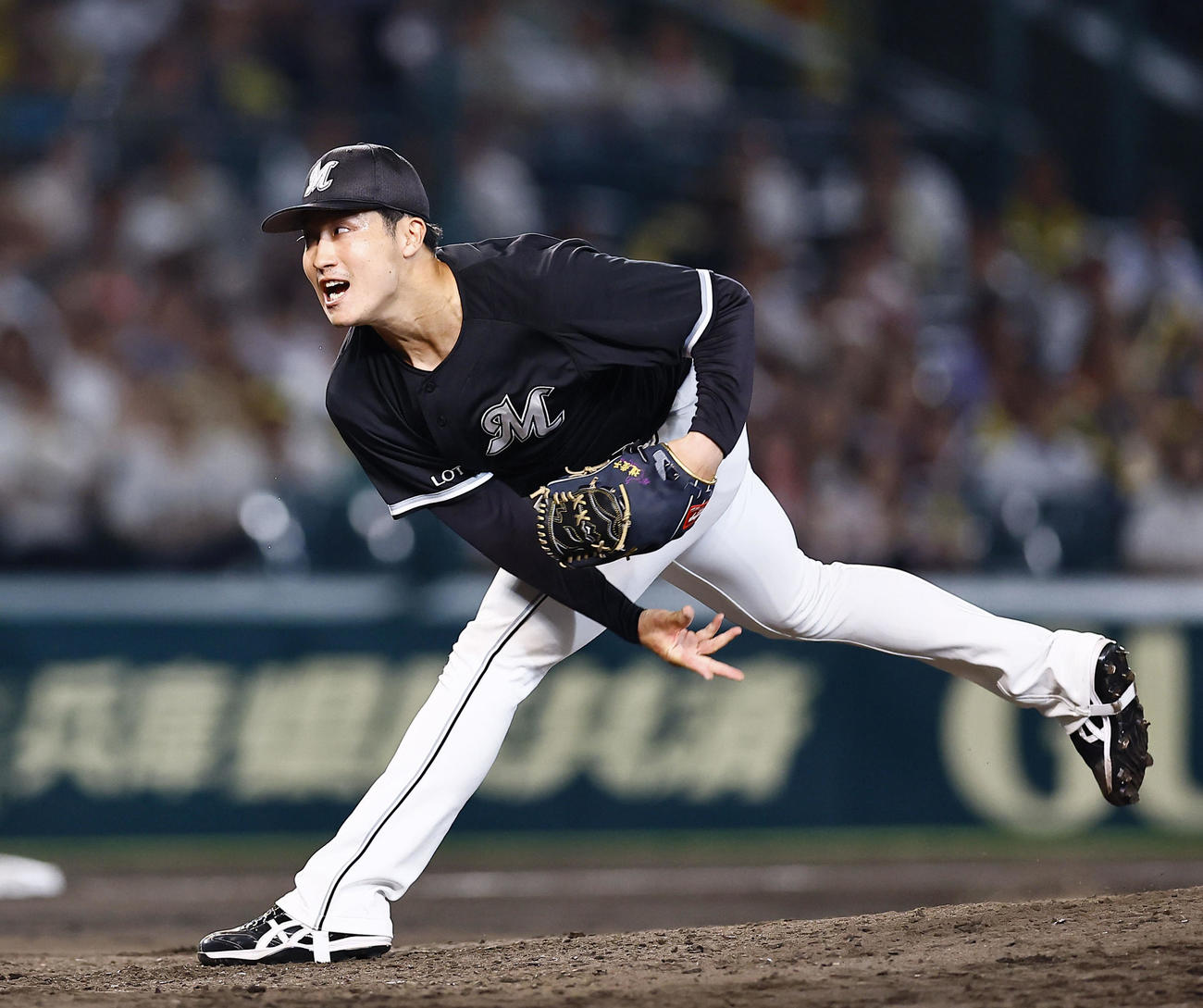 ロッテ菊地吏玖（2025年6月19日撮影）