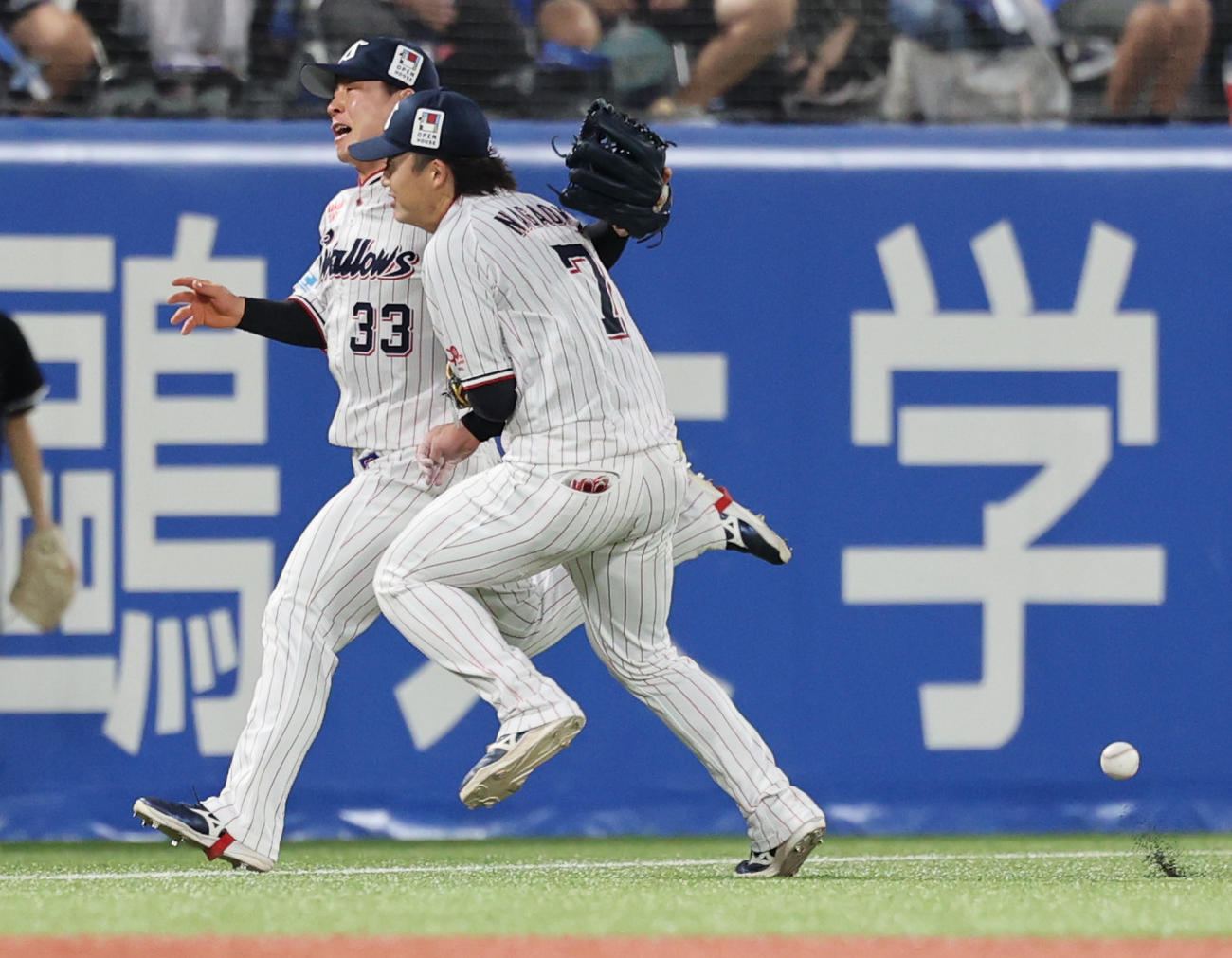 ヤクルト対DeNA 3回表DeNA2死、林の打球を追い交錯する内山（左）と長岡（撮影・野上伸悟）