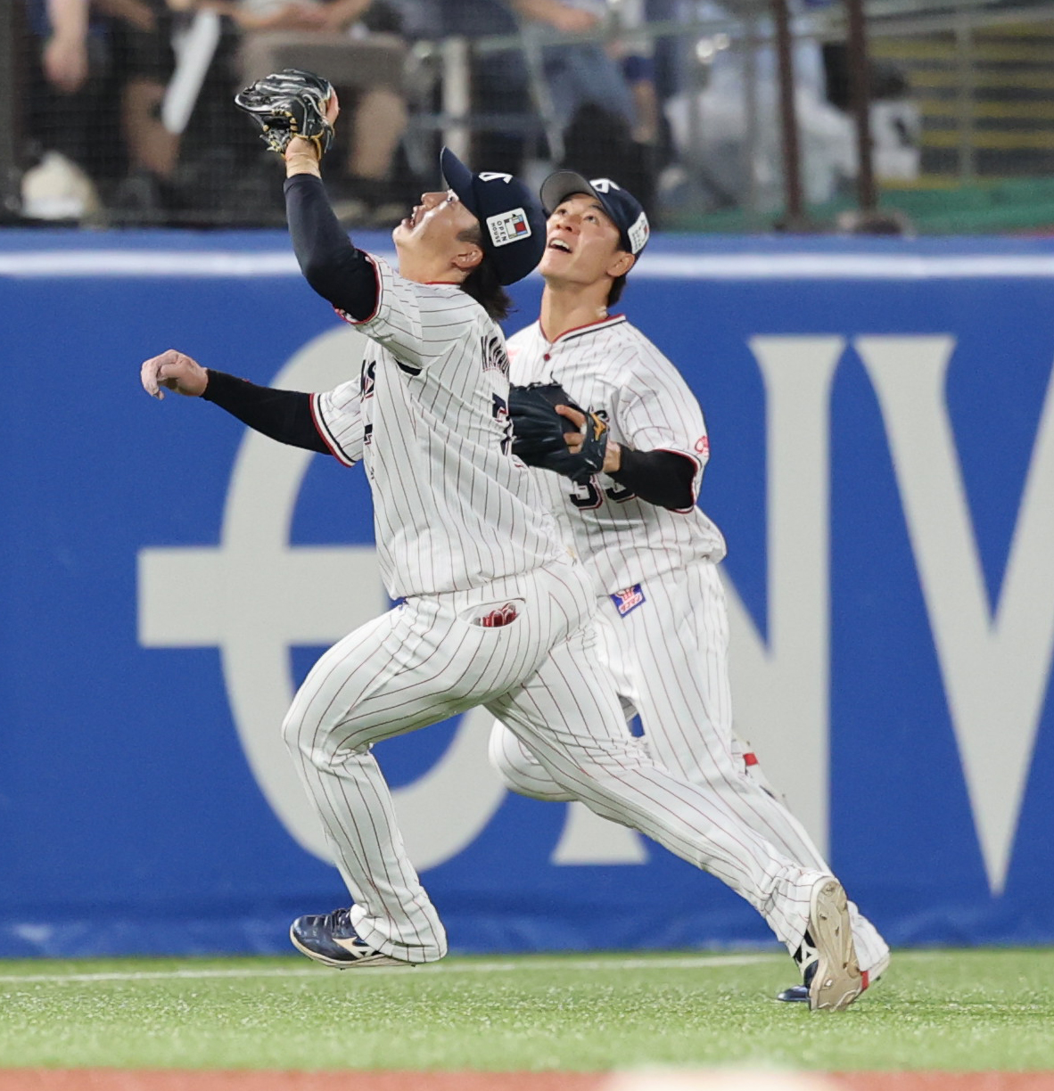 ヤクルト対DeNA 3回表DeNA2死、林の打球を追い交錯する長岡（手前）と内山（撮影・野上伸悟）