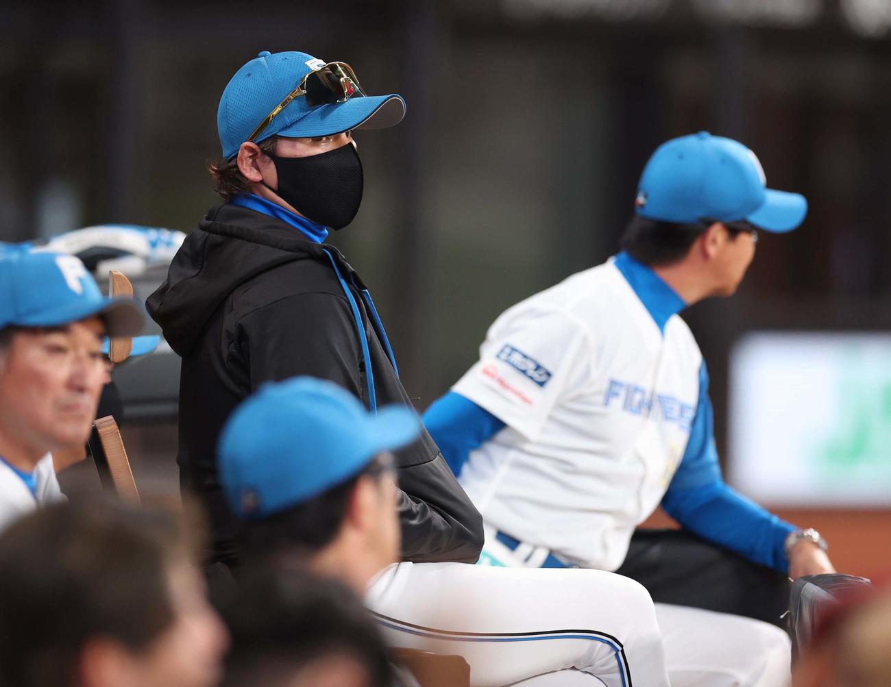 日本ハム対ロッテ　ベンチで試合を見つめる新庄監督（撮影・黒川智章）