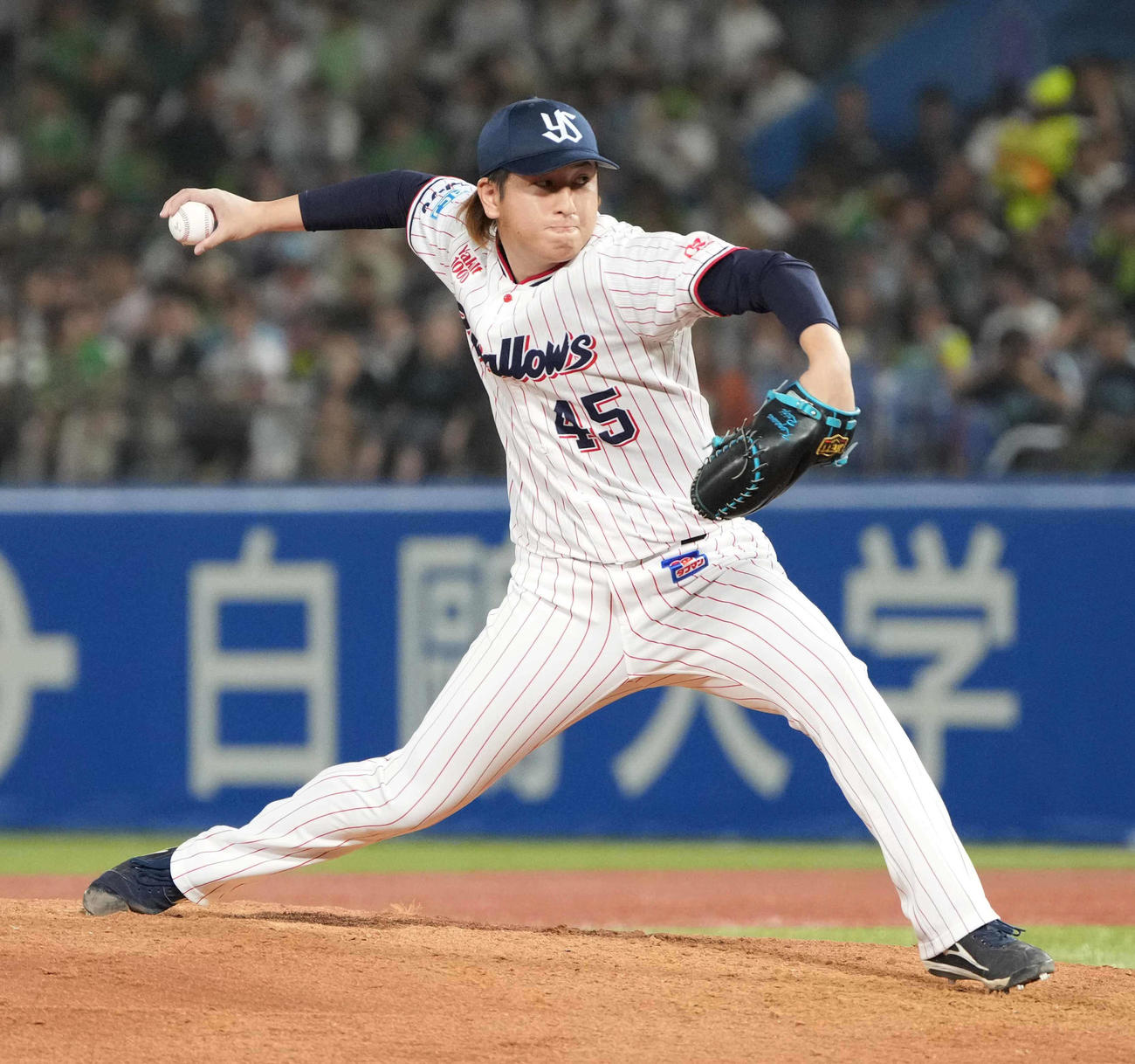 ヤクルト小沢怜史（2025年8月13日撮影）