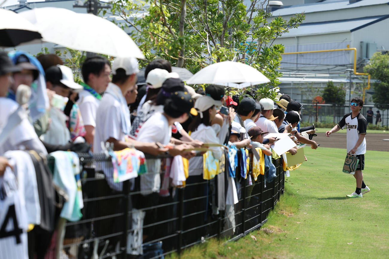 練習を終えファンにサインする阪神村上（右）（撮影・前田充）