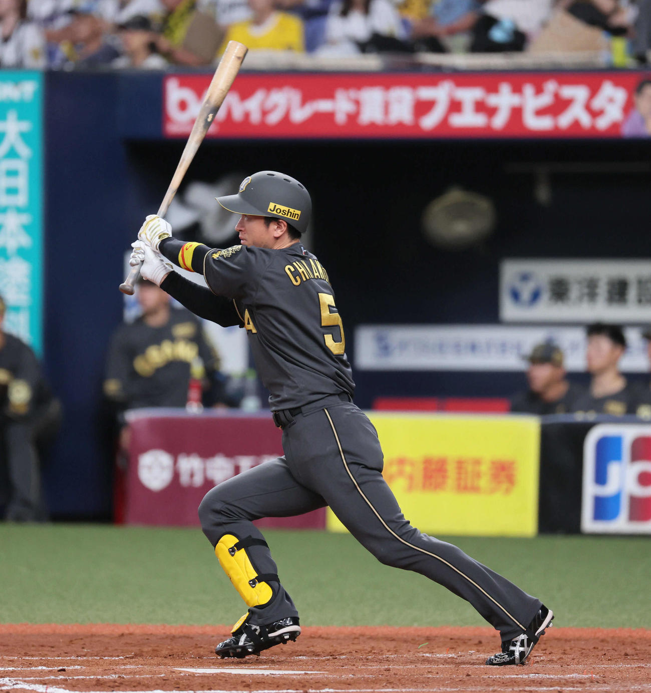 阪神近本光司（2025年8月10日撮影）