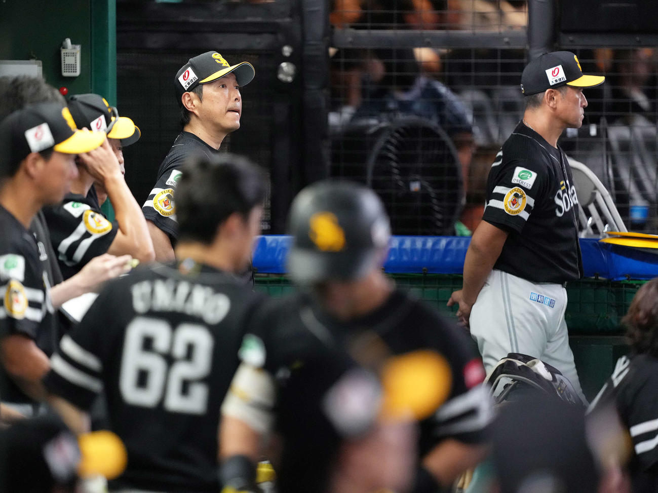 西武対ソフトバンク　戦況を見つめるソフトバンク小久保裕紀監督（撮影・足立雅史）