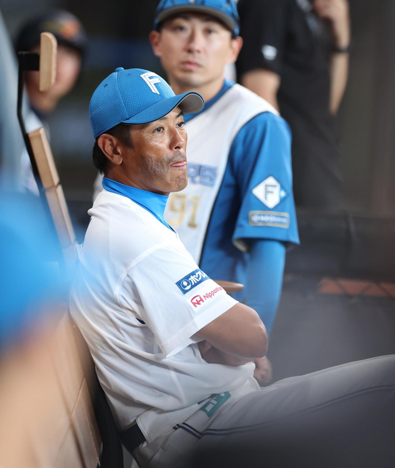日本ハム対北海道社会人・学生選抜　グラウンドを見つめる稲葉2軍監督（撮影・黒川智章）