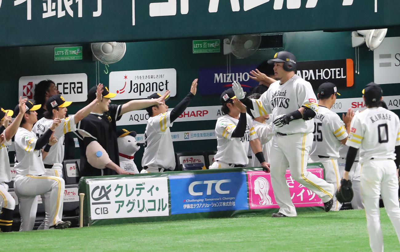 ソフトバンク対ロッテ　6回裏ソフトバンク1死、山川は左中間に本塁打を放ちベンチのナインとハイタッチ（撮影・梅根麻紀）