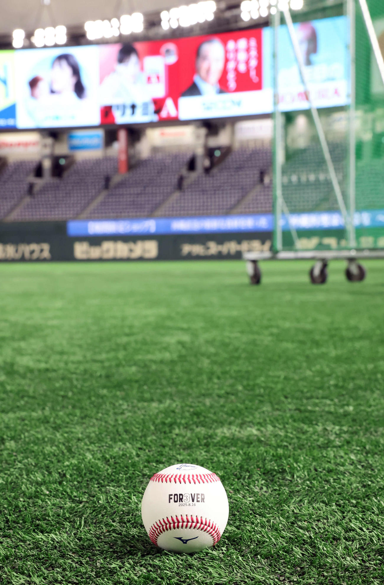 巨人対阪神　長嶋茂雄終身名誉監督追悼試合での試合球（撮影・浅見桂子）
